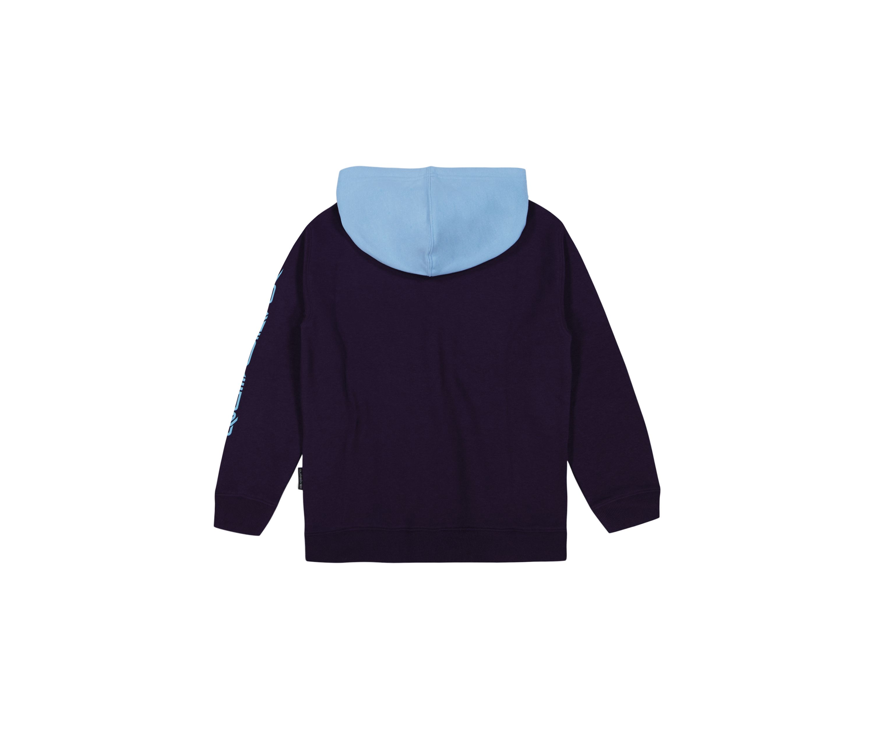 Boys 8-20 Color Block Hoodie