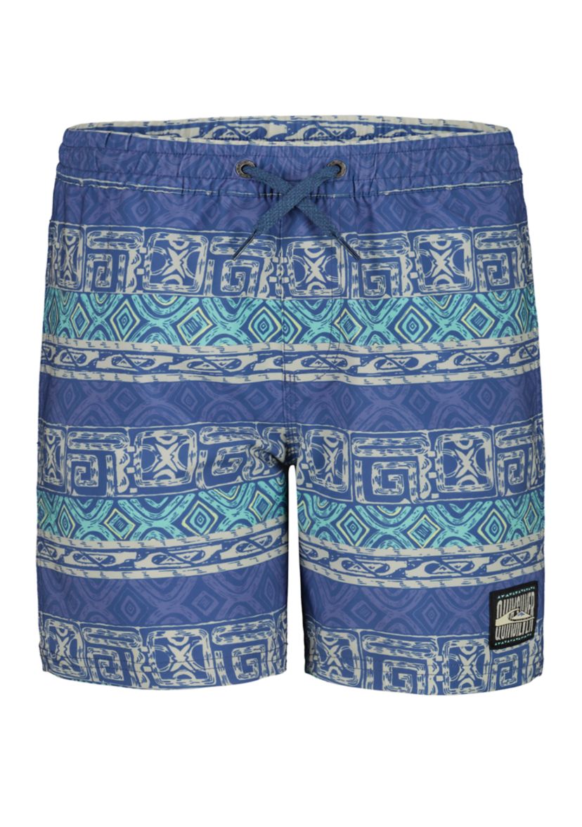 Boys 8-20 Surfsilk Printed Volley Swim Shorts