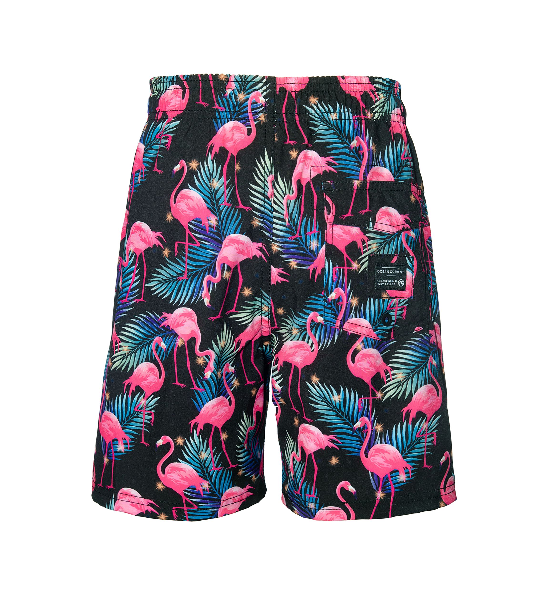 Boys 8-20 Flamingo Swim Trunks