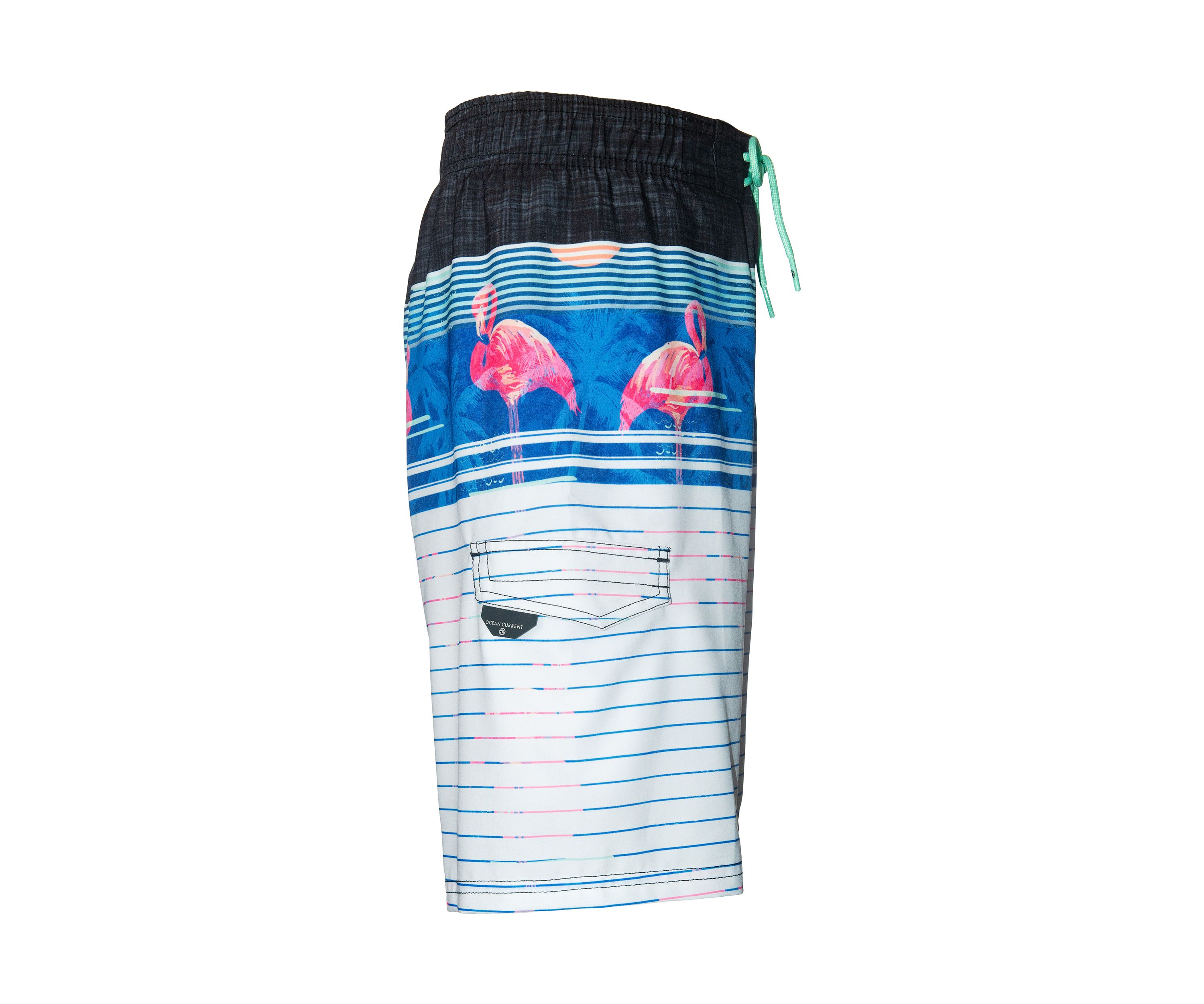 Boys 4-7 Stripe Flamingo Swim Shorts with Mesh Liner