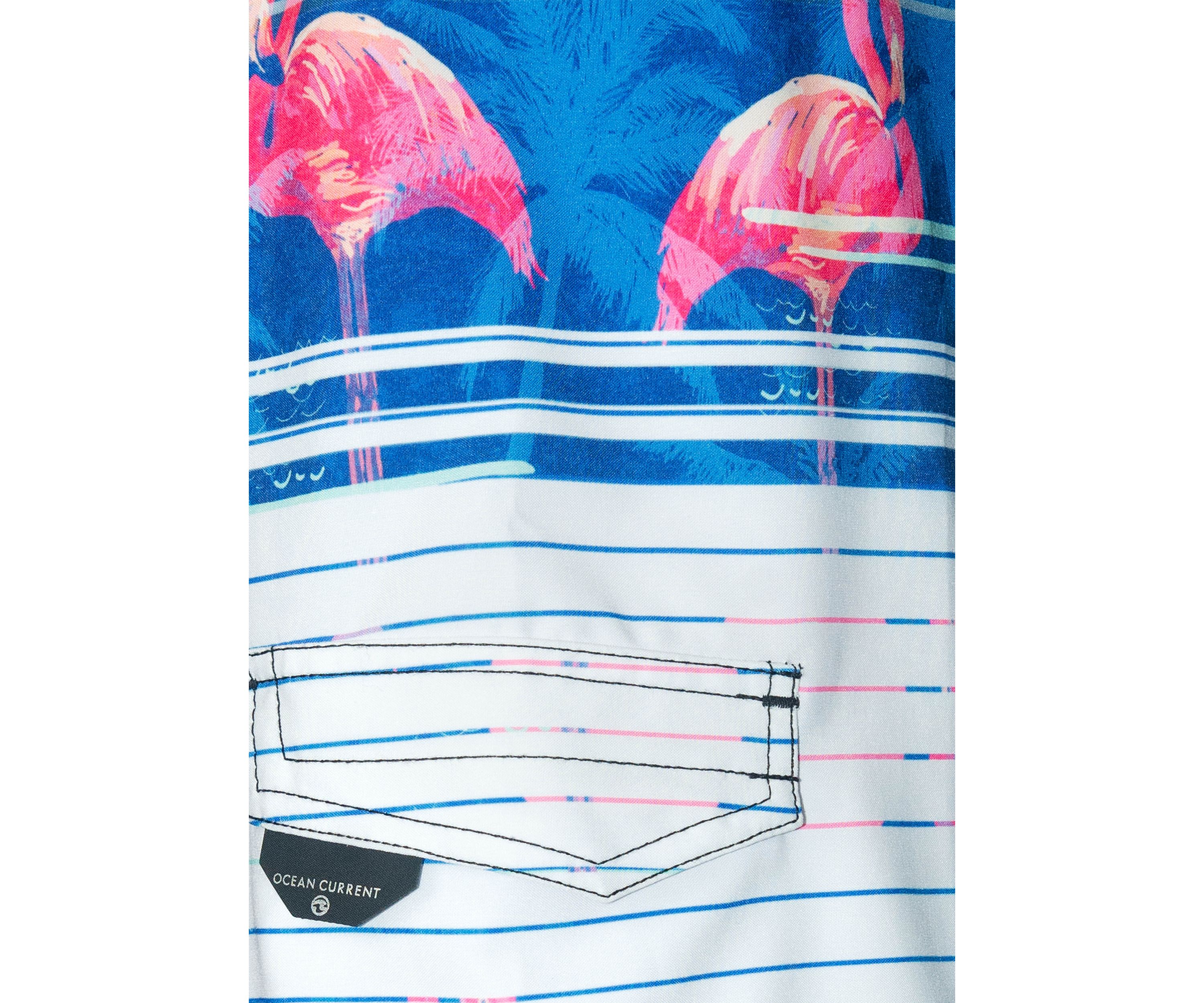 Boys 4-7 Stripe Flamingo Swim Shorts with Mesh Liner