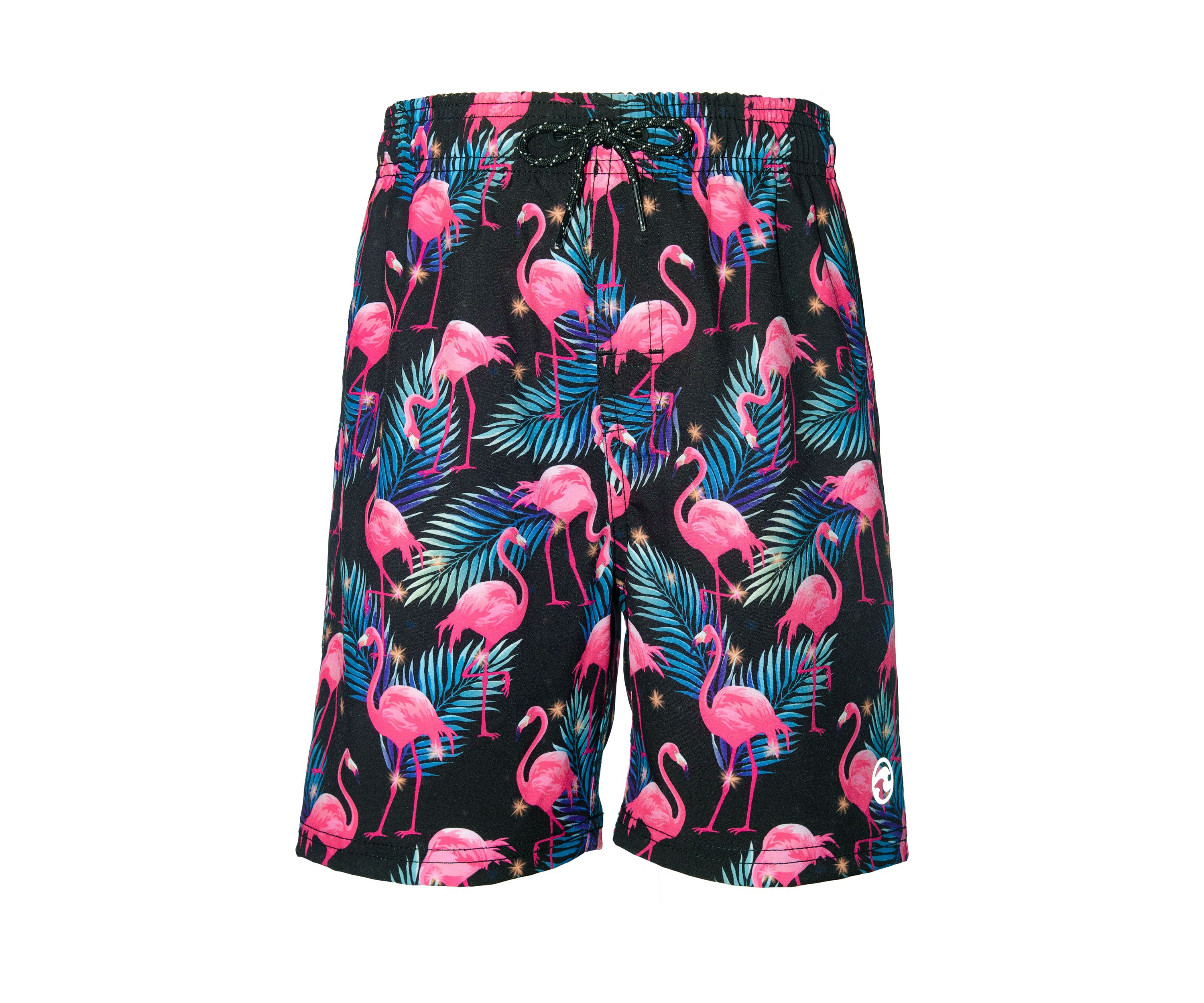 Boys 4-7 Flamingo Swim Trunks
