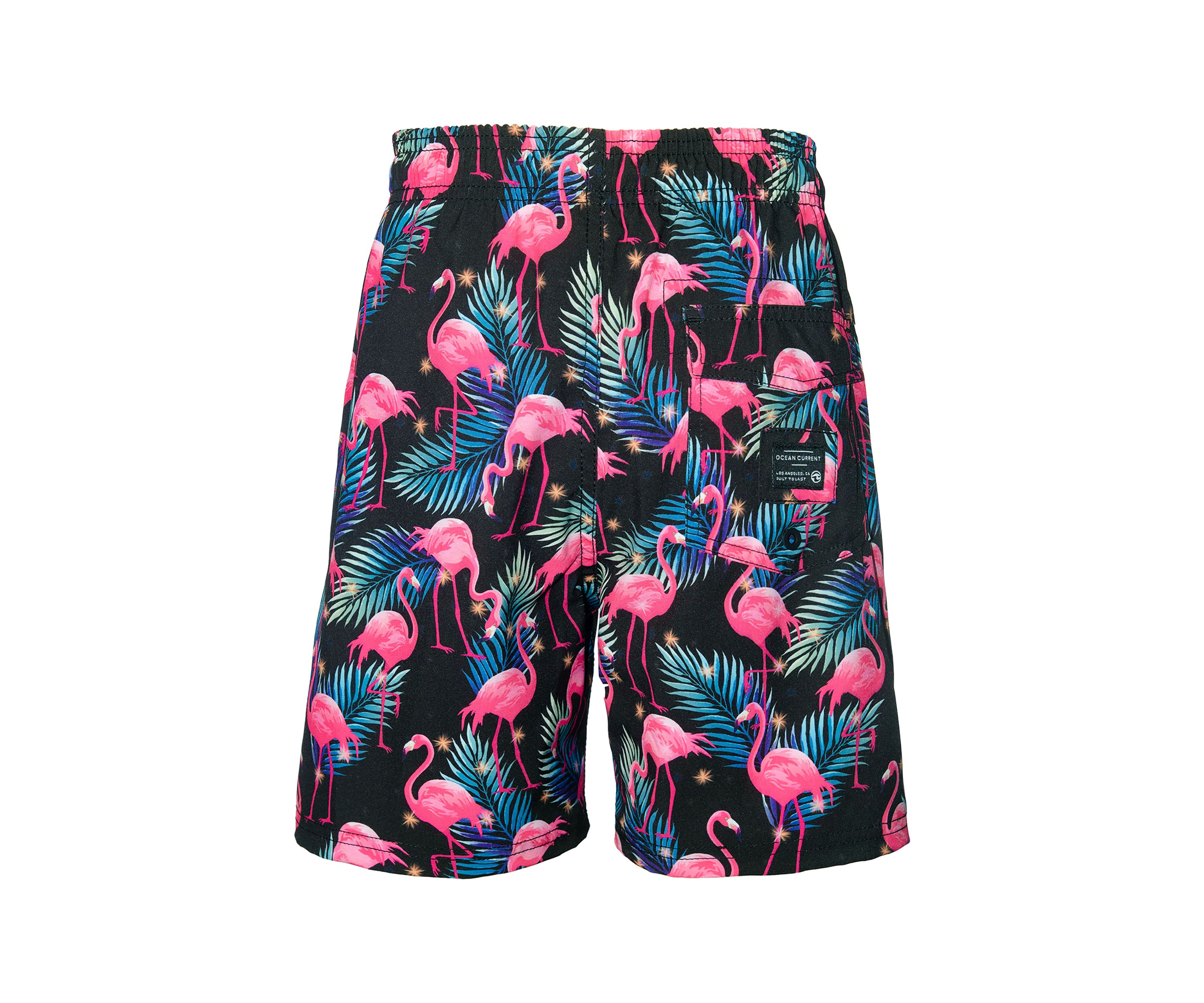 Boys 4-7 Flamingo Swim Trunks