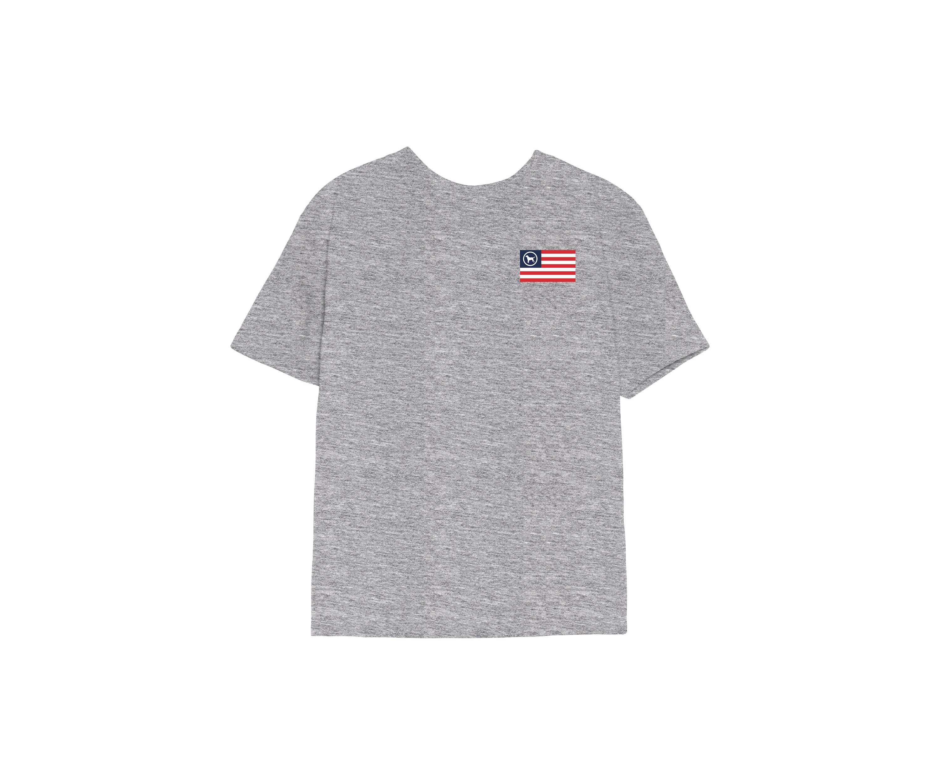 Boys 4-7 Flag Graphic T-Shirt
