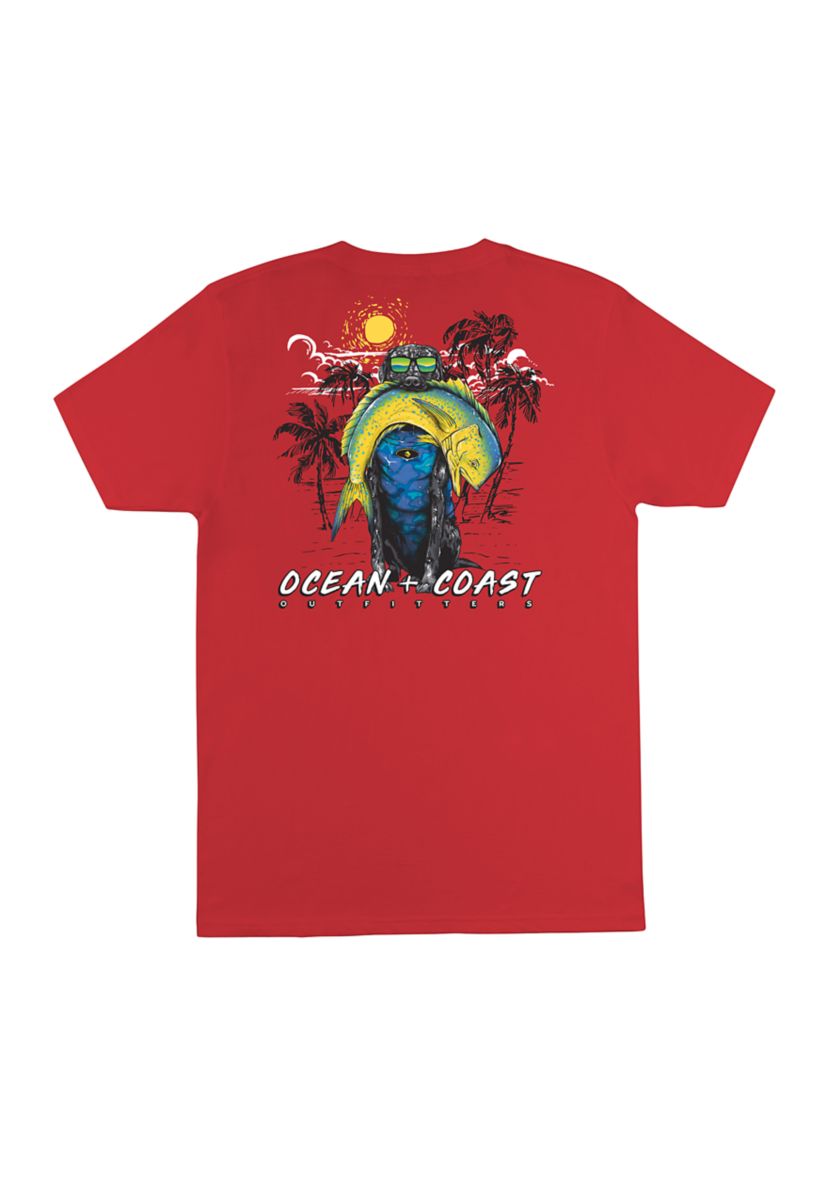 Boys 4-7 Short Sleeve Graphic T-Shirt