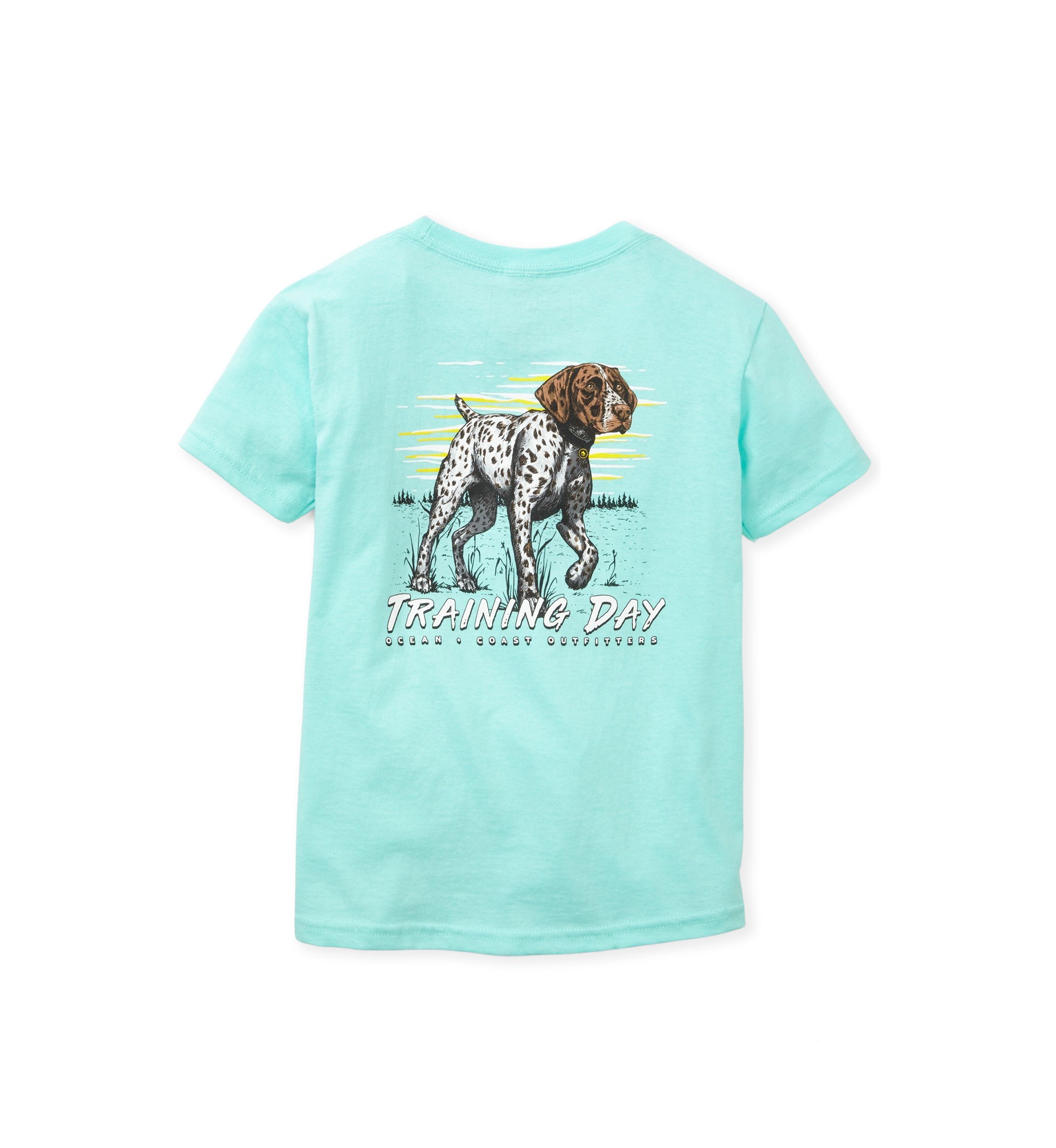 Boys 4-7 Short Sleeve Graphic T-Shirt