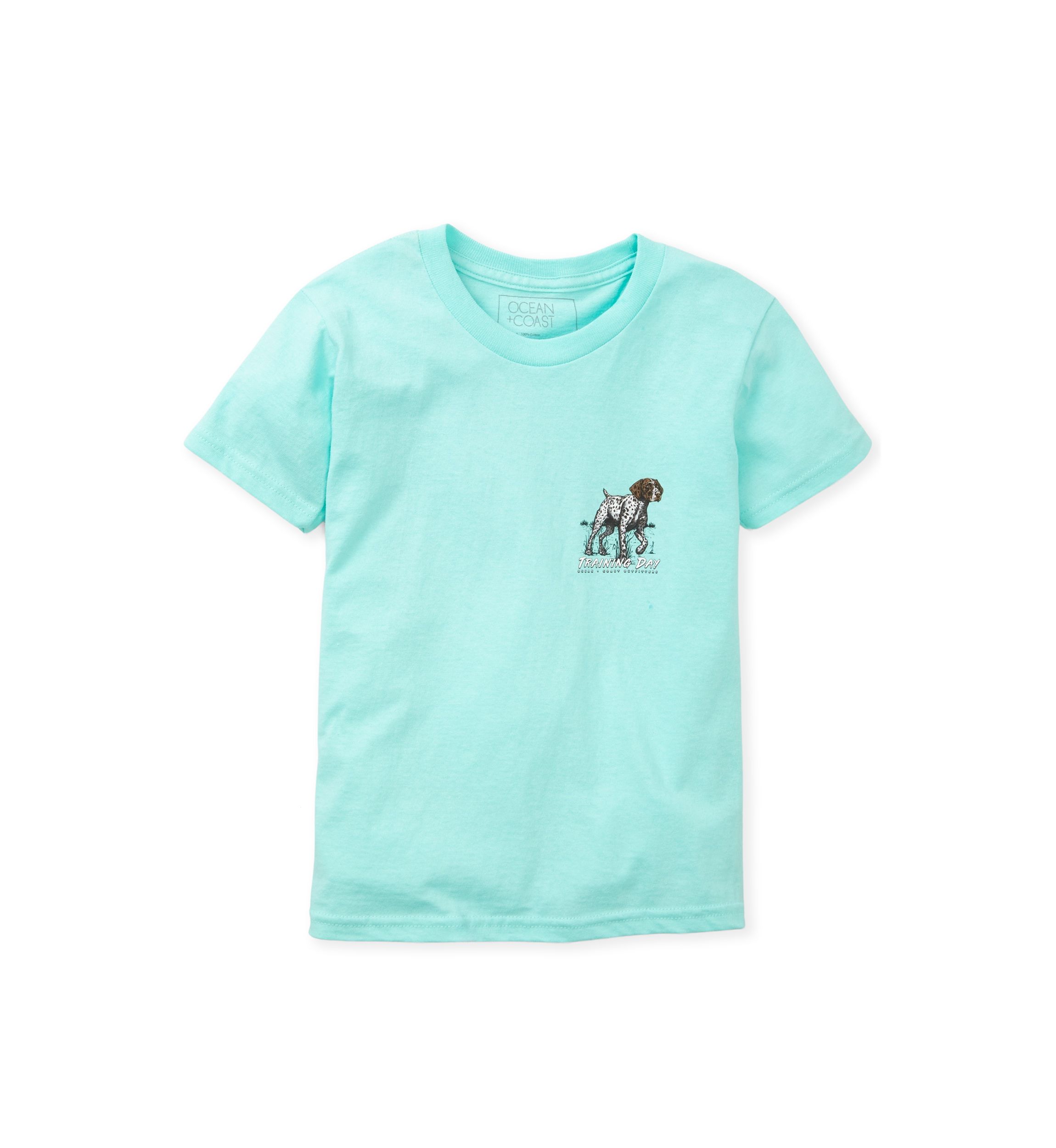 Boys 4-7 Short Sleeve Graphic T-Shirt