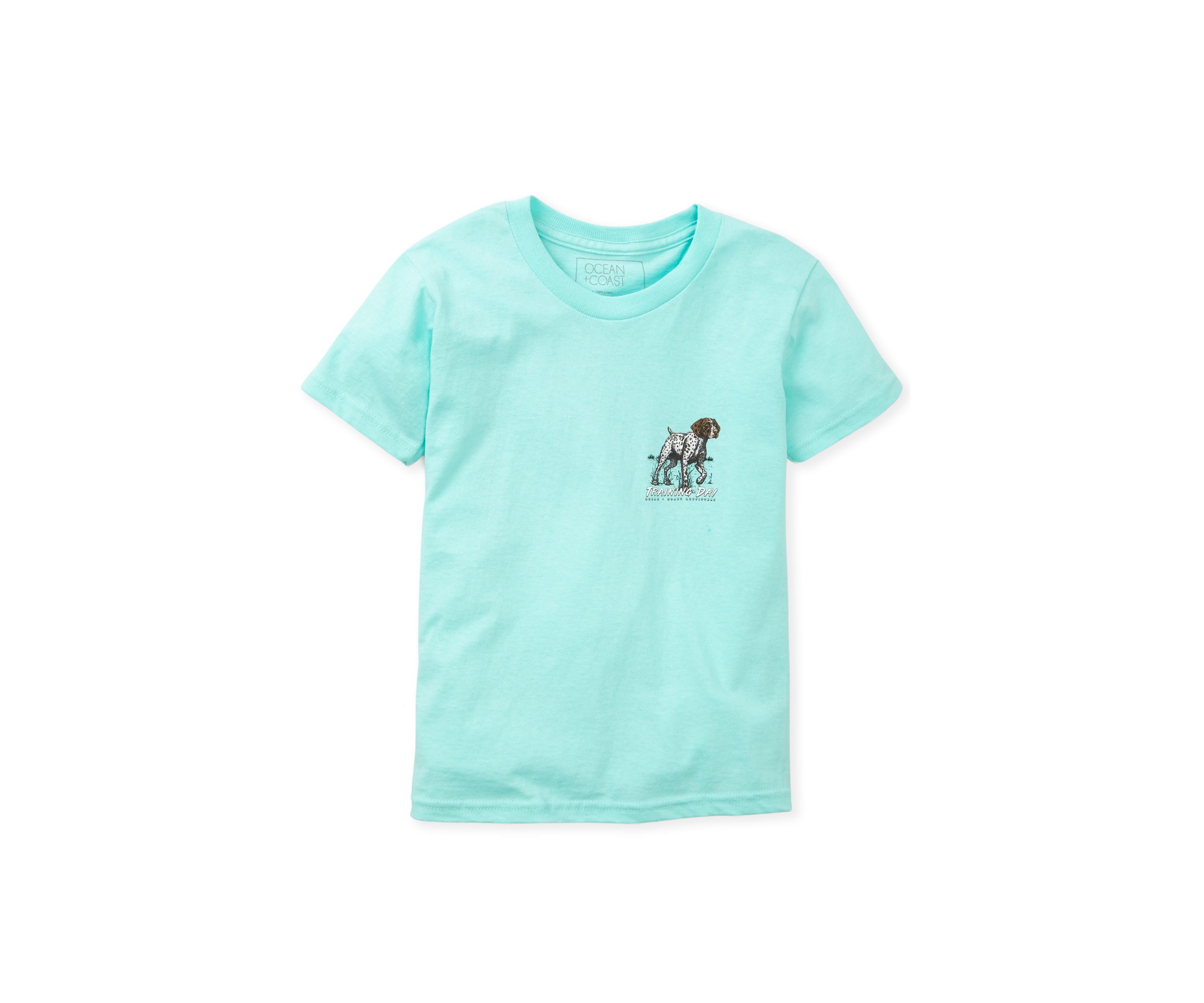 Boys 4-7 Short Sleeve Graphic T-Shirt