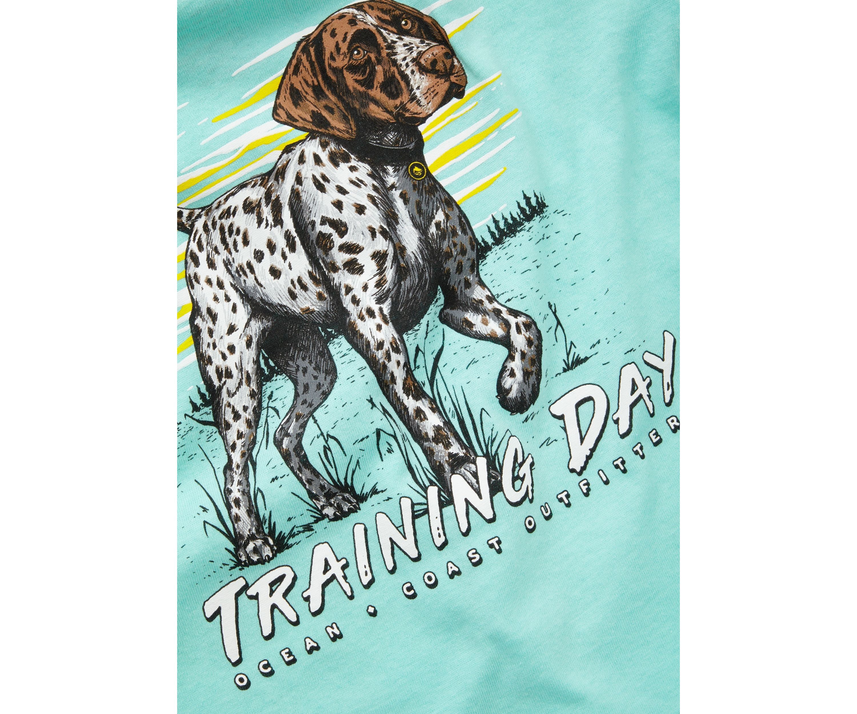 Boys 4-7 Short Sleeve Graphic T-Shirt