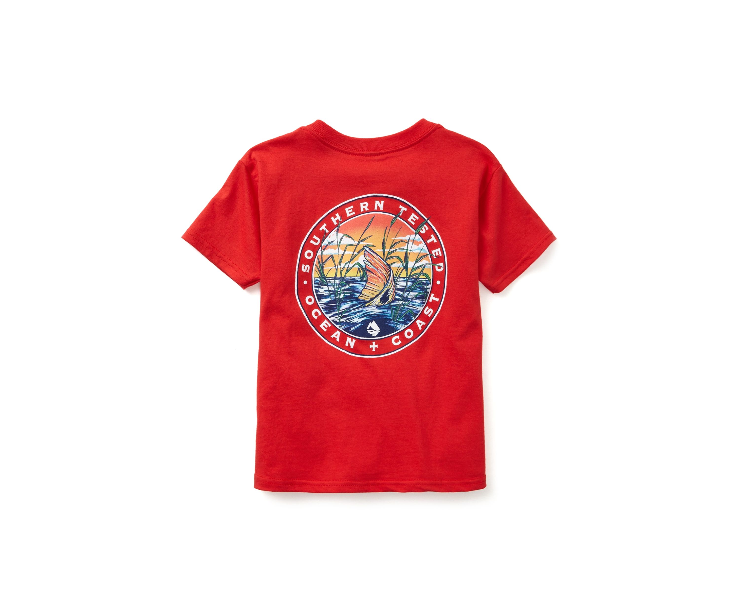 Boys 4-7 Short Sleeve Graphic T-Shirt 