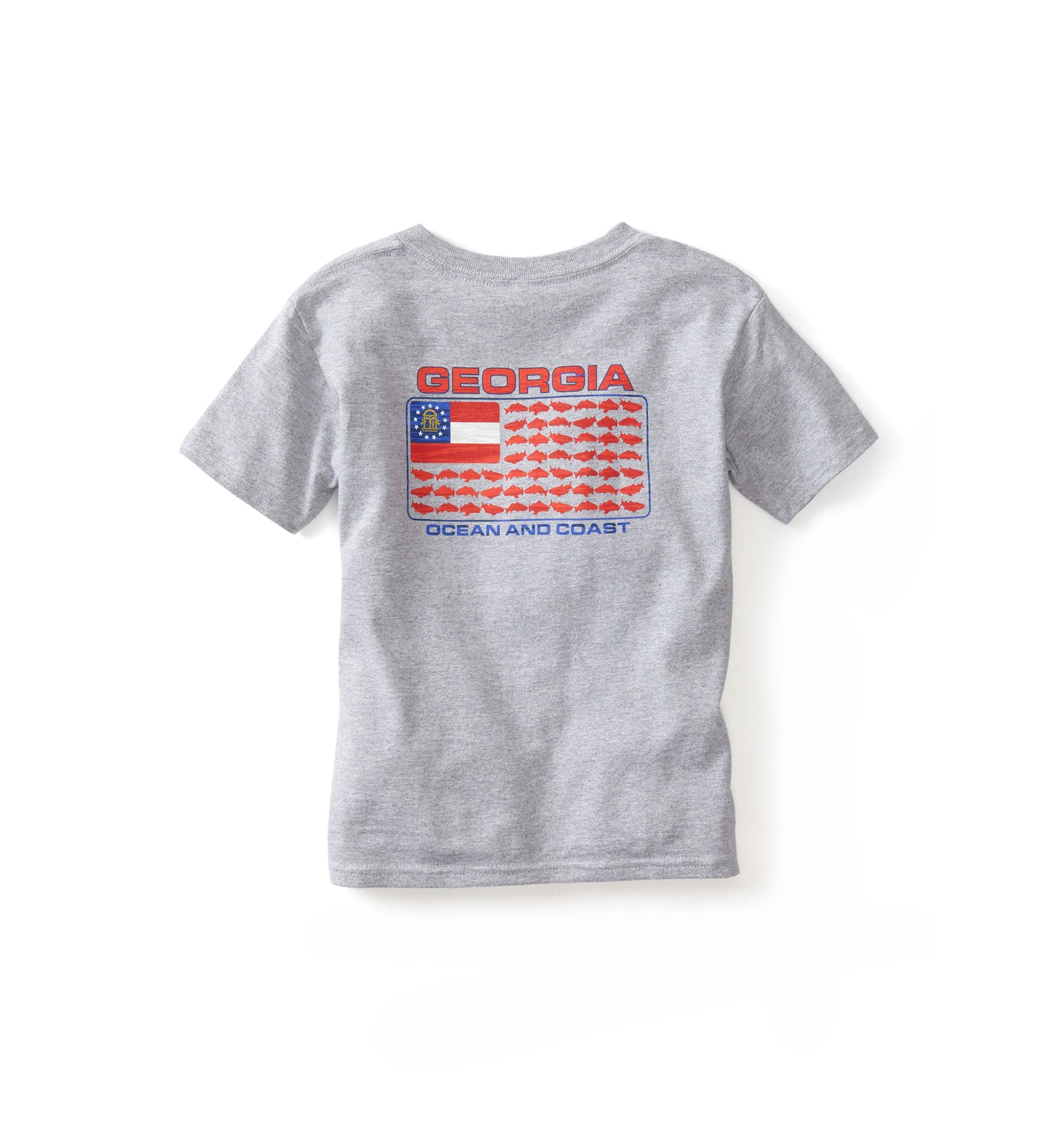 Boys 4-7 Georgia Flag Graphic T-Shirt