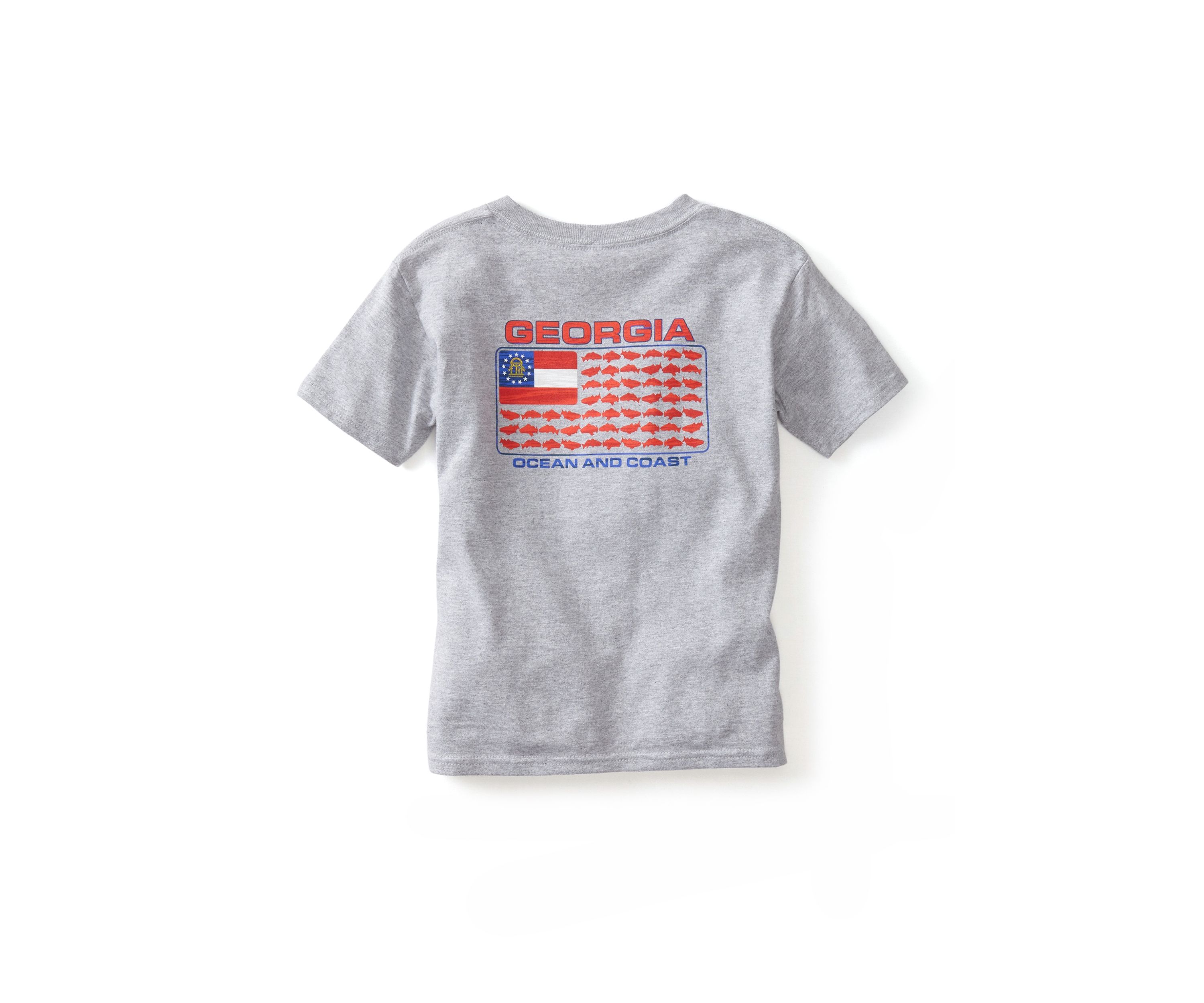 Boys 4-7 Georgia Flag Graphic T-Shirt