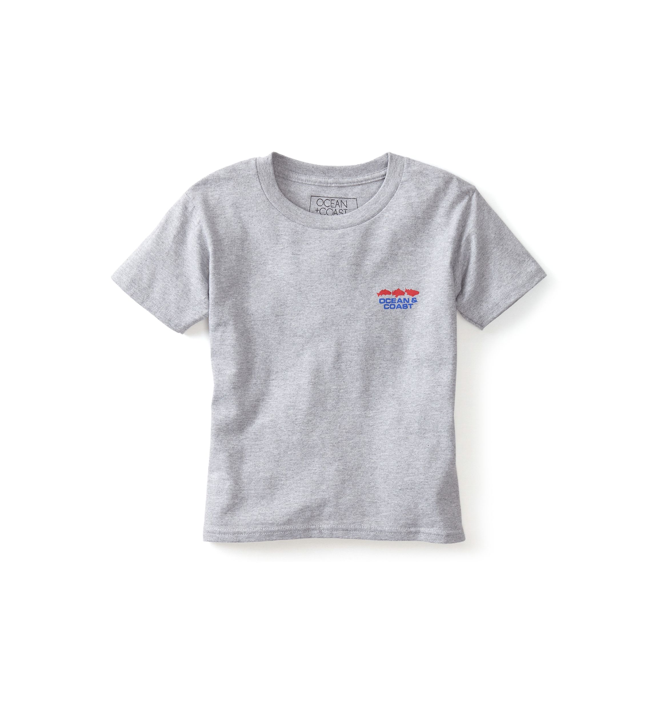 Boys 4-7 Georgia Flag Graphic T-Shirt