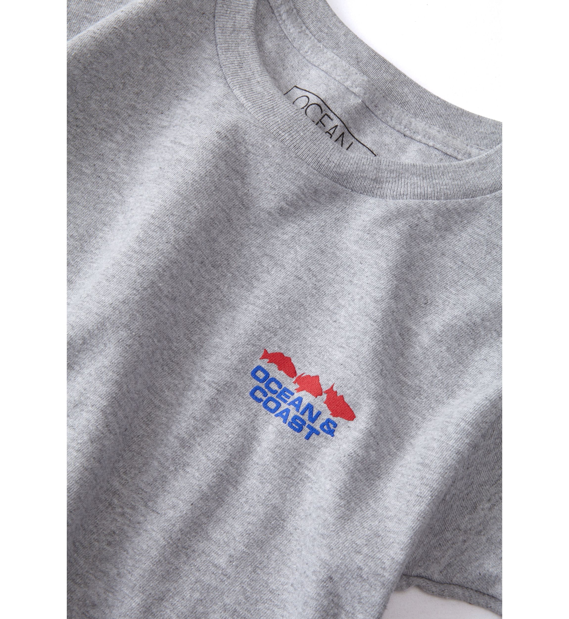 Boys 4-7 Georgia Flag Graphic T-Shirt