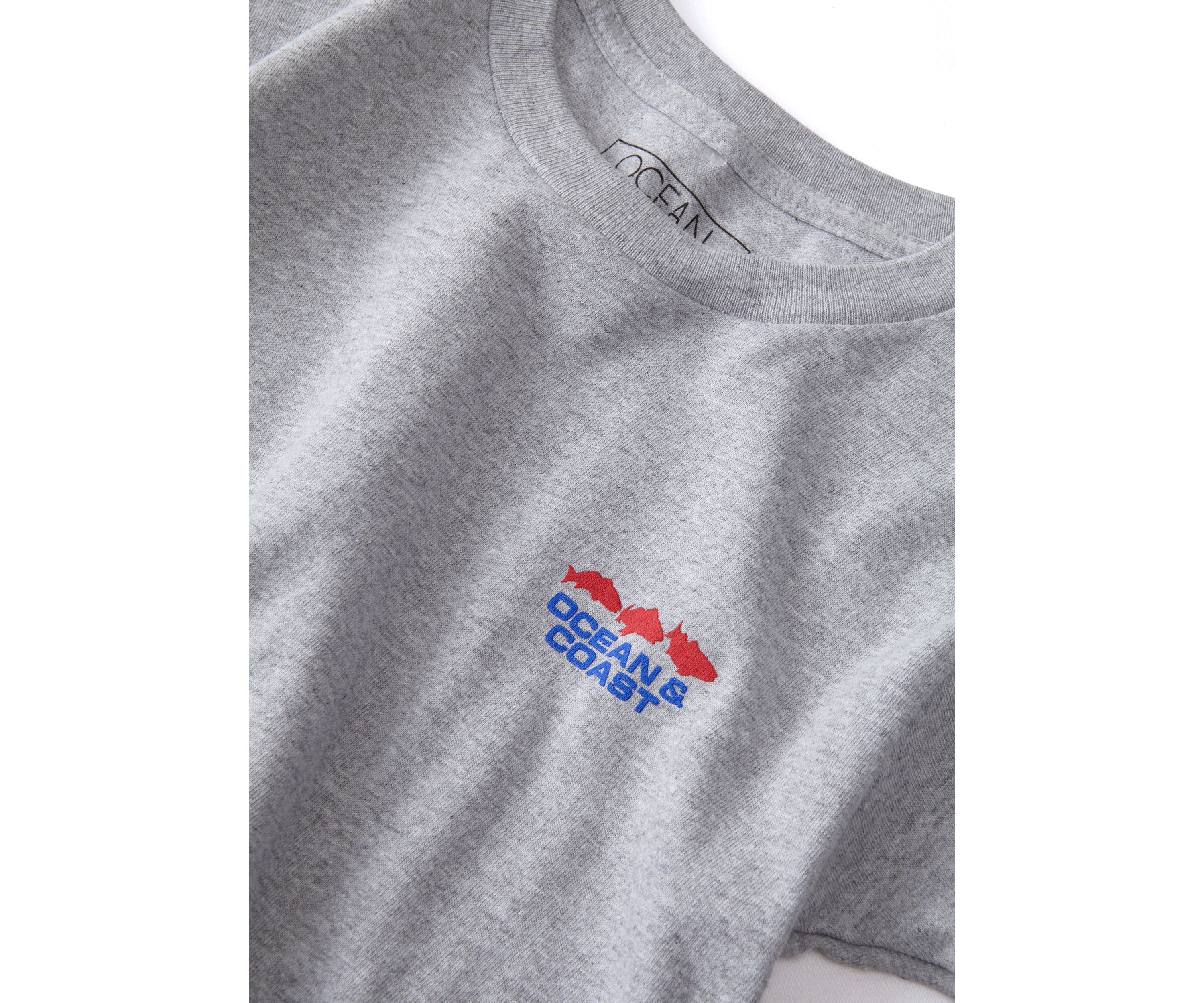 Boys 4-7 Georgia Flag Graphic T-Shirt