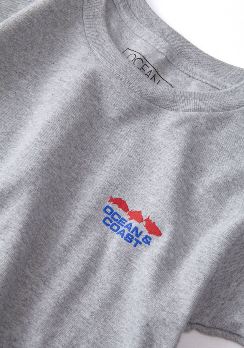 Boys 4-7 Georgia Flag Graphic T-Shirt