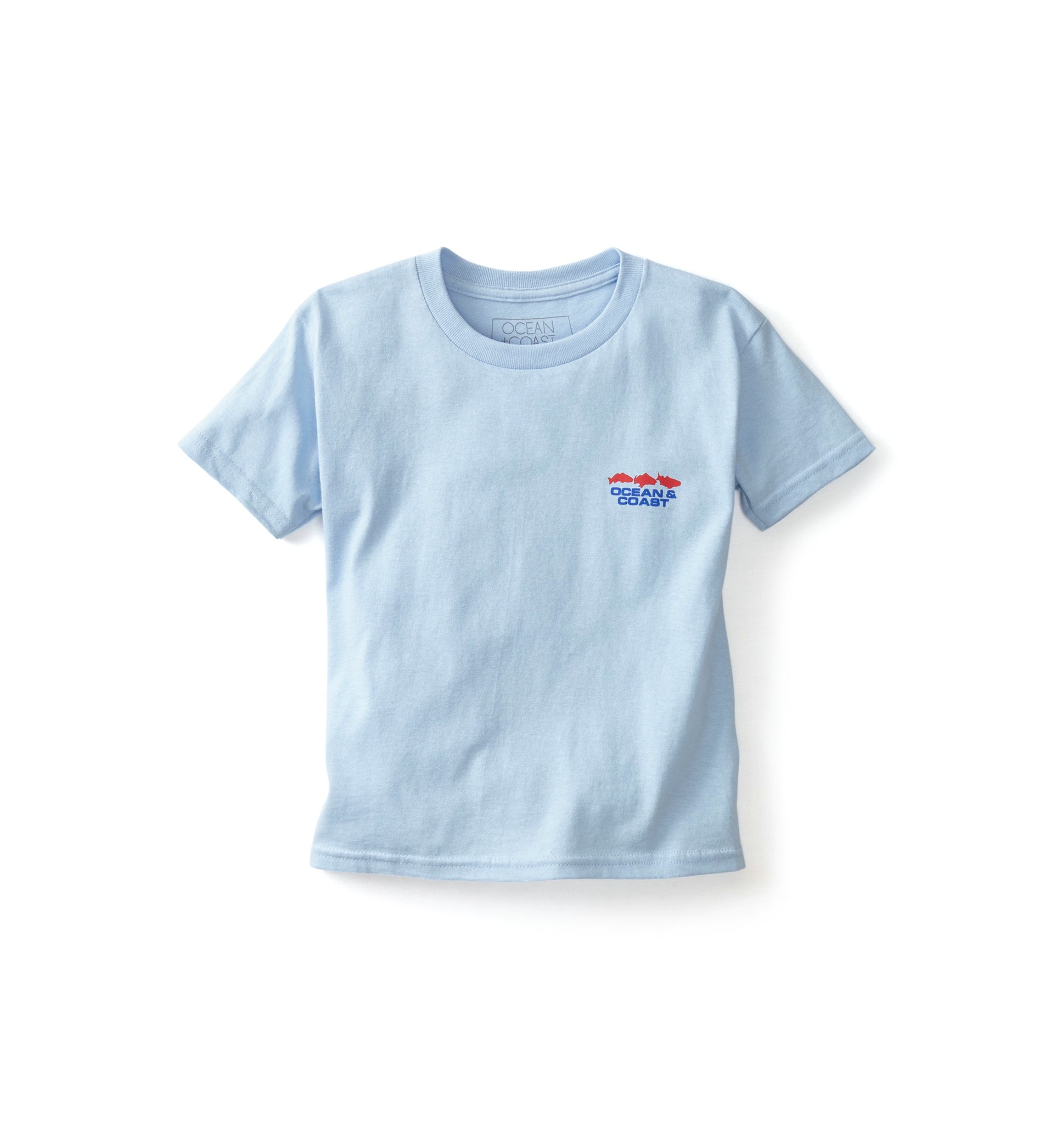 Boys 4-7 North Carolina Flag Graphic T-Shirt