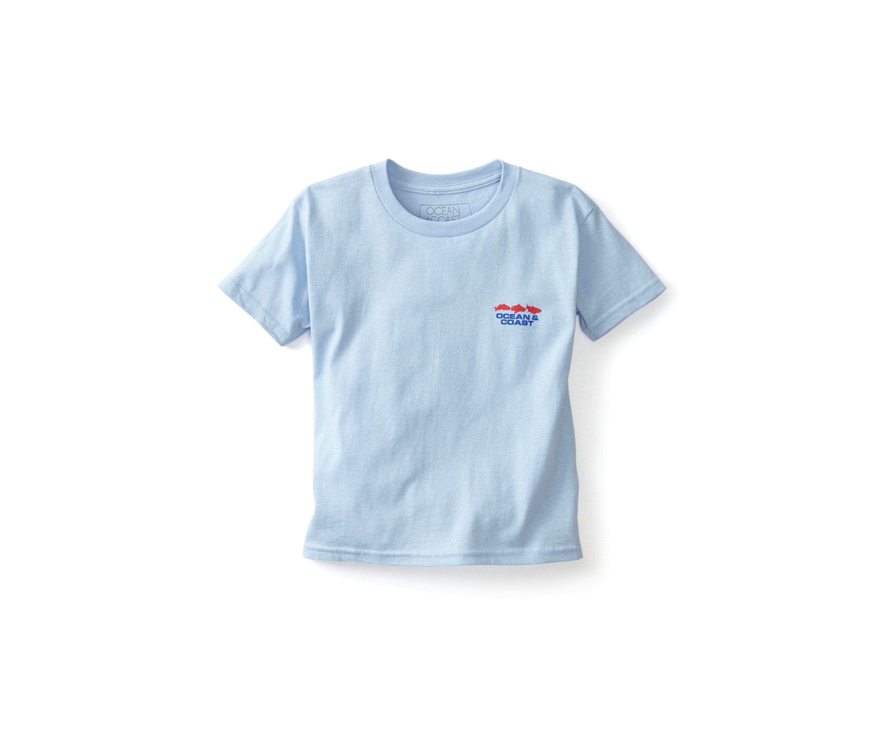 Boys 4-7 North Carolina Flag Graphic T-Shirt