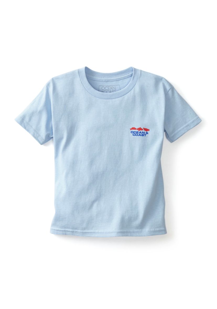 Boys 4-7 North Carolina Flag Graphic T-Shirt