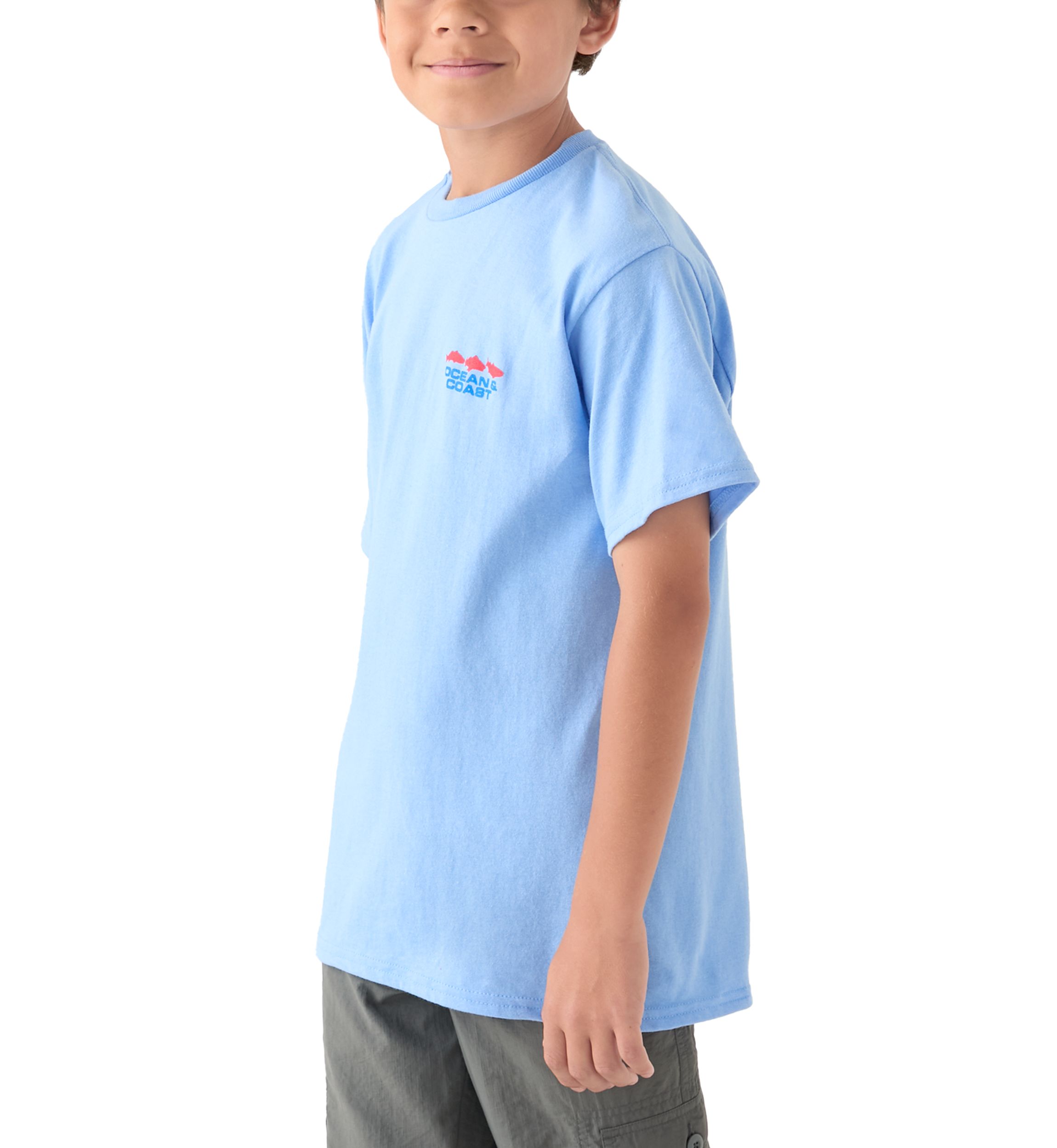 Boys 8-20 North Carolina Flag Graphic T-Shirt