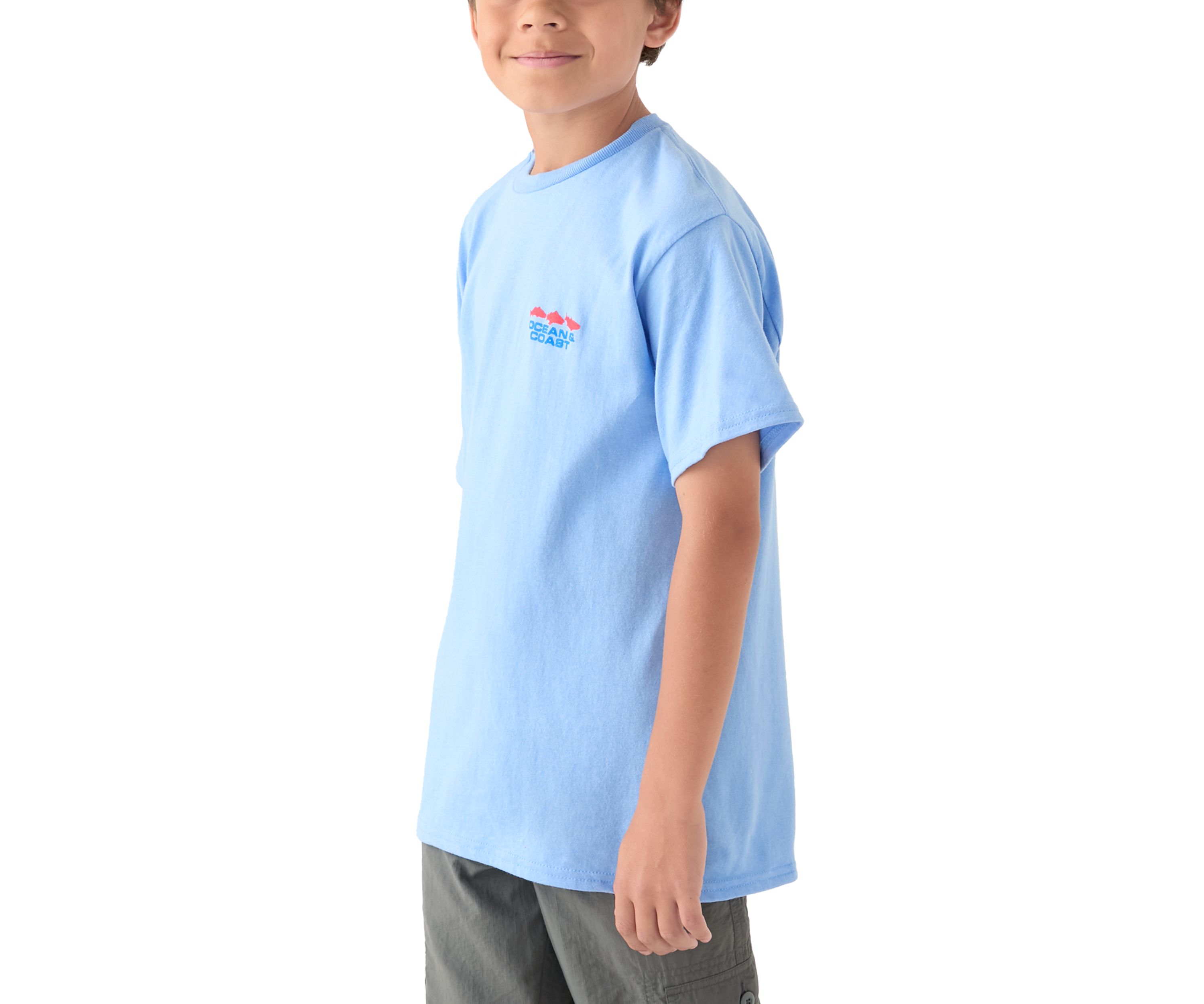 Boys 8-20 North Carolina Flag Graphic T-Shirt