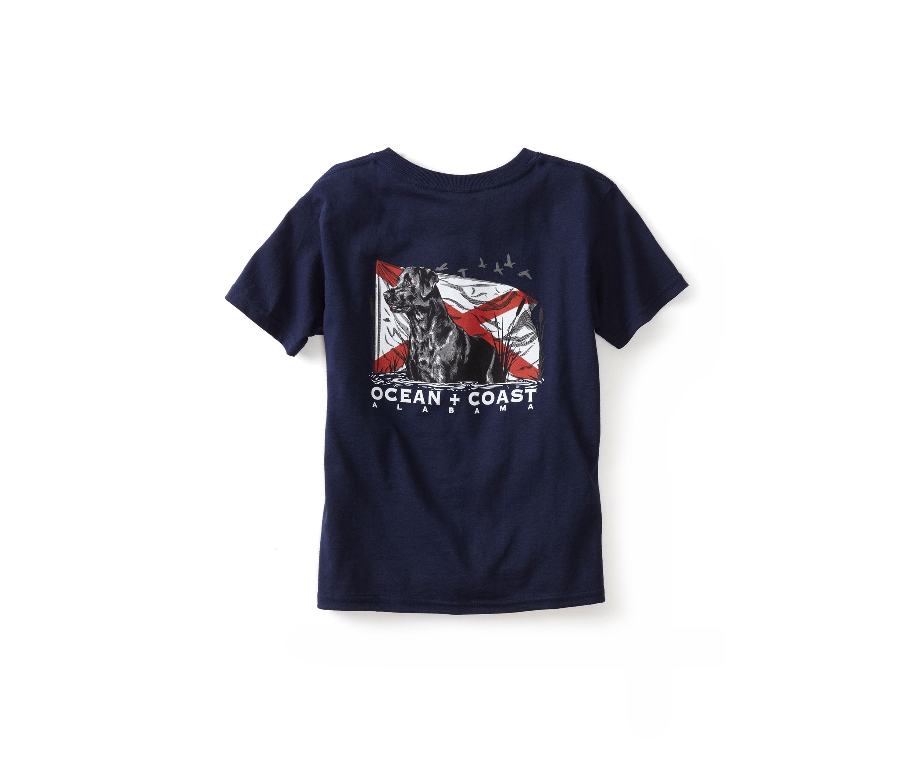 Boys 4-7 Alabama Labrador Graphic T-Shirt