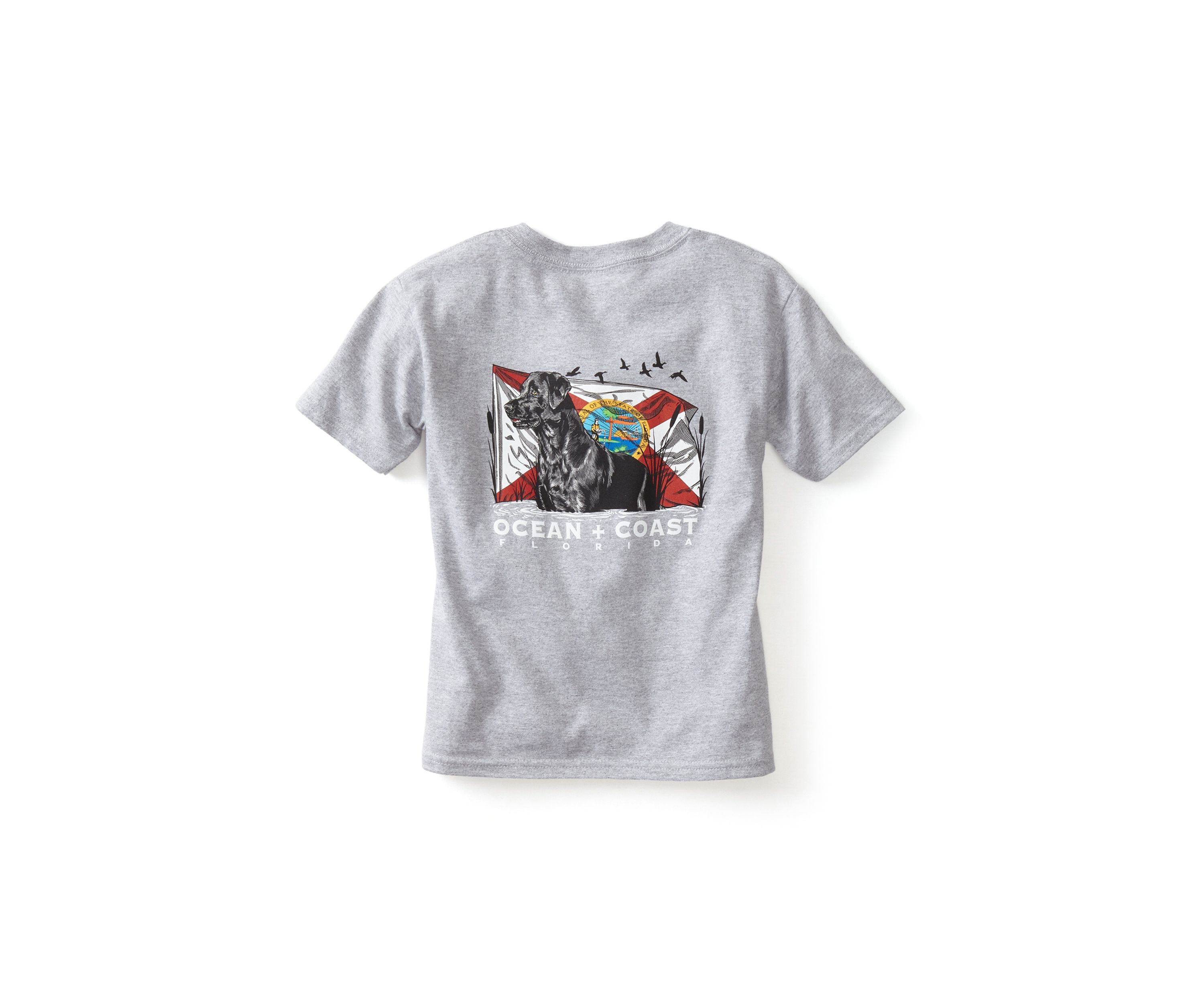 Boys 4-7 Florida Labrador Graphic T-Shirt