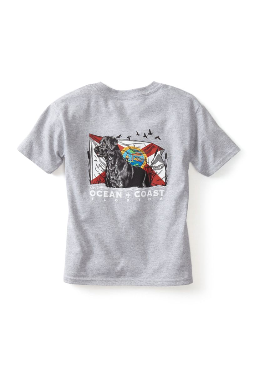 Boys 4-7 Florida Labrador Graphic T-Shirt