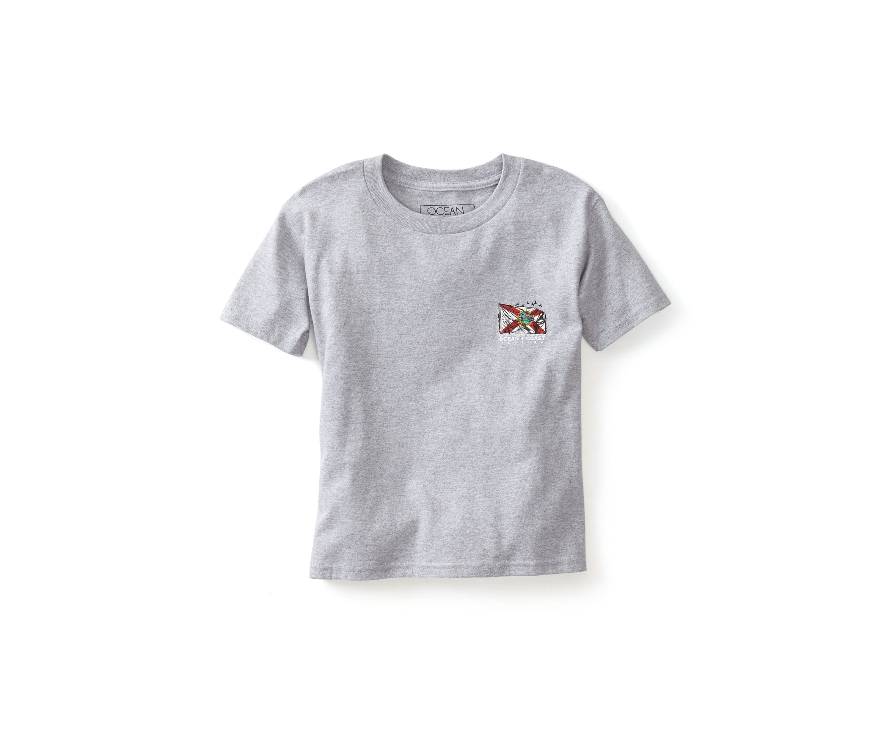 Boys 4-7 Florida Labrador Graphic T-Shirt