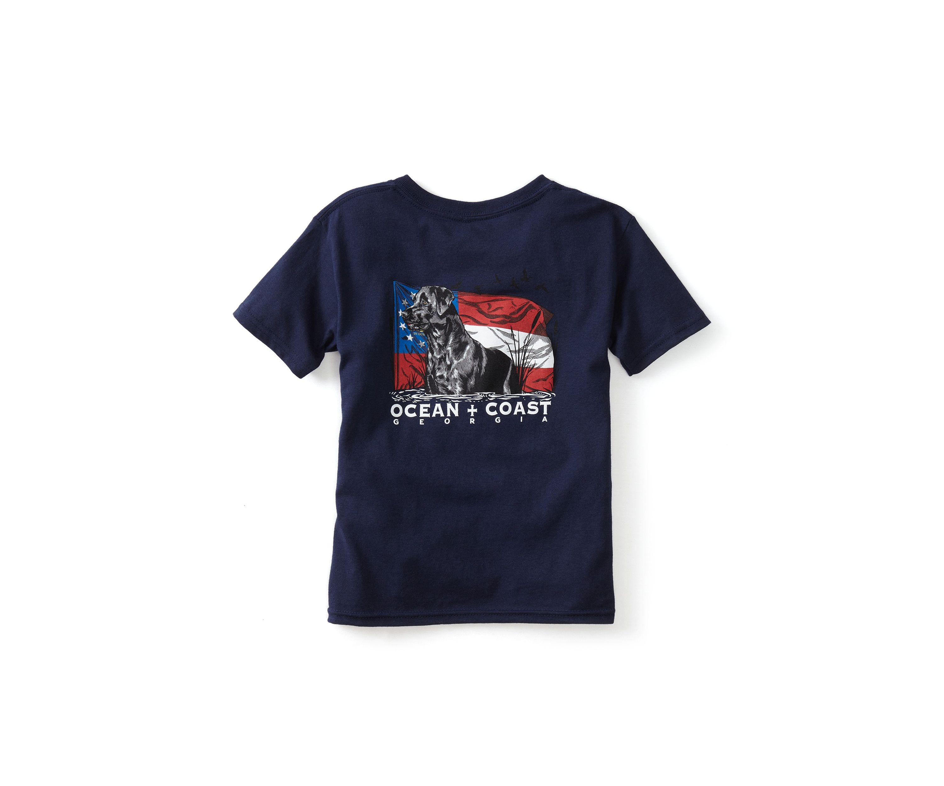 Boys 4-7 Georgia Labrador Graphic T-Shirt