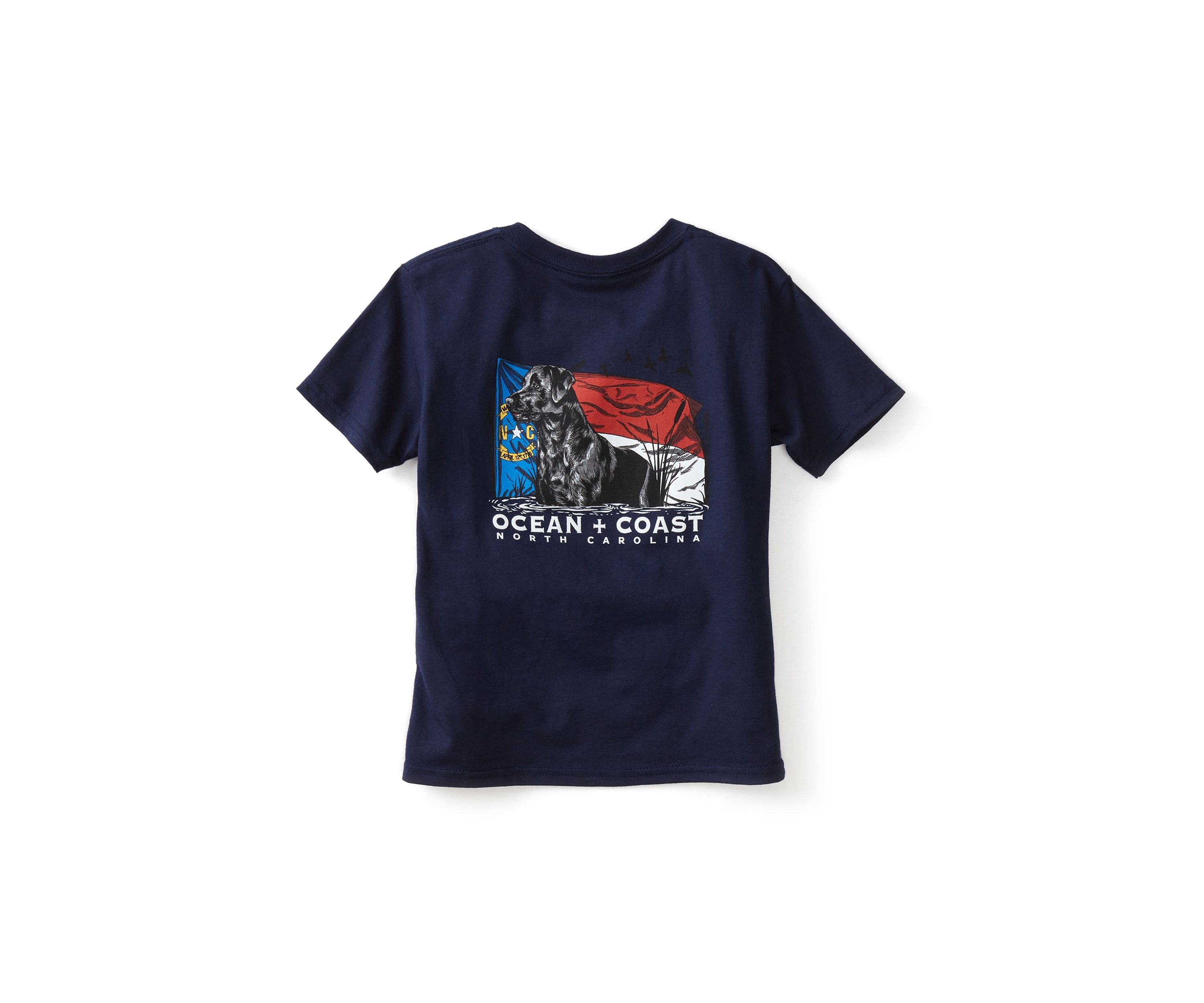 Boys 4-7 North Carolina Labrador Graphic T-Shirt