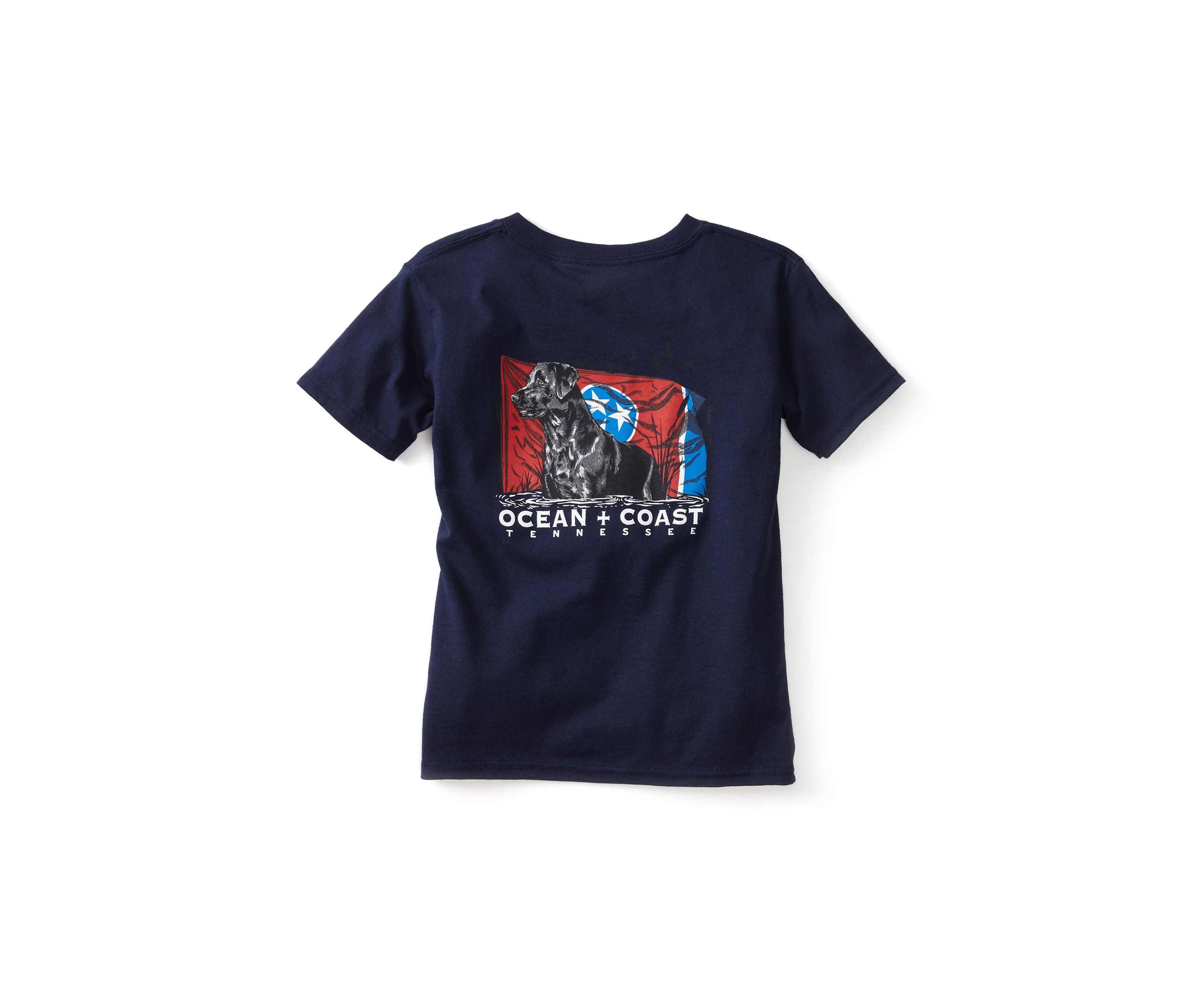 Boys 4-7 Short Sleeve Graphic T-Shirt