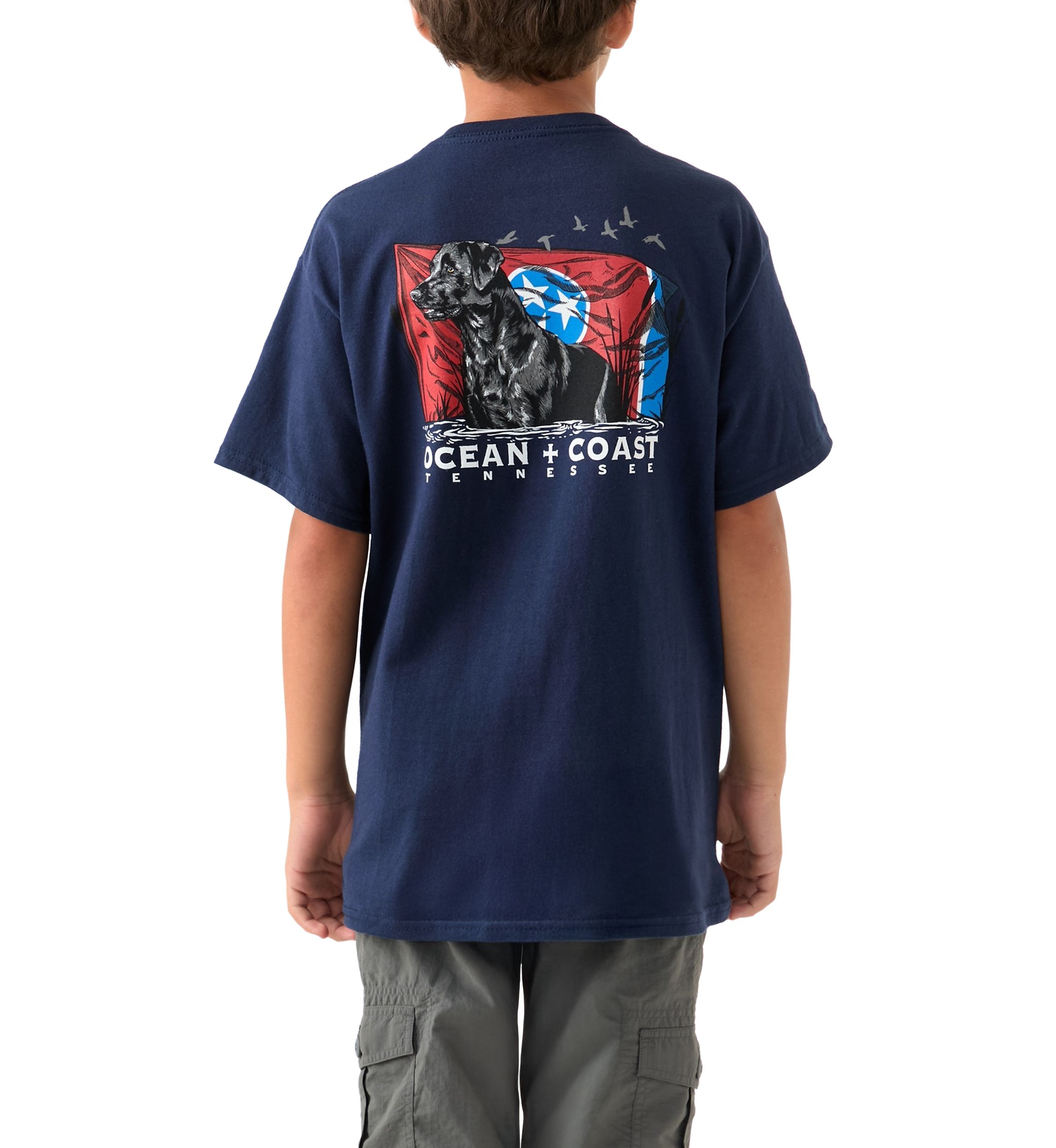 Boys 8-20 Tennessee Labrador Graphic T-Shirt