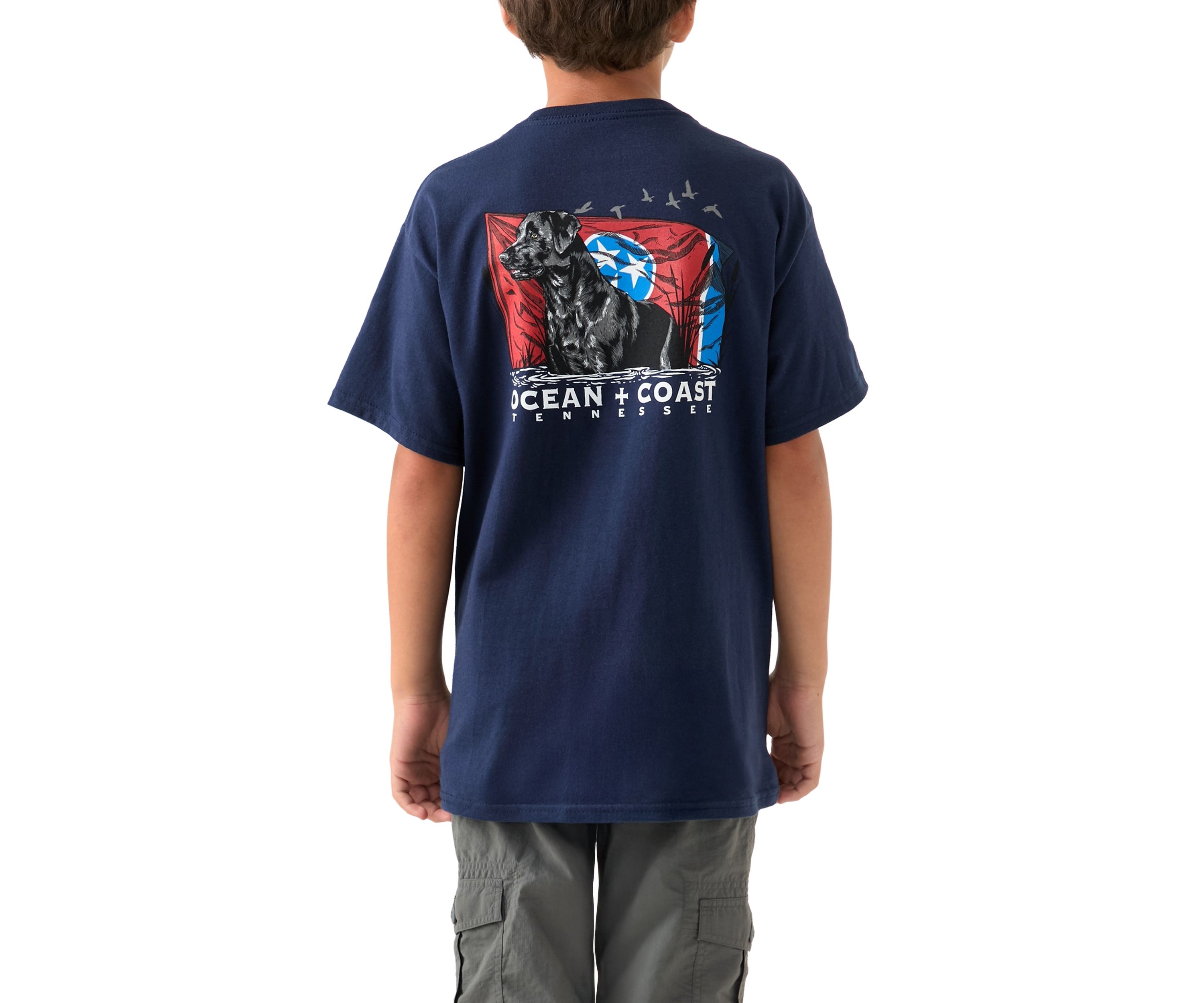 Boys 8-20 Tennessee Labrador Graphic T-Shirt