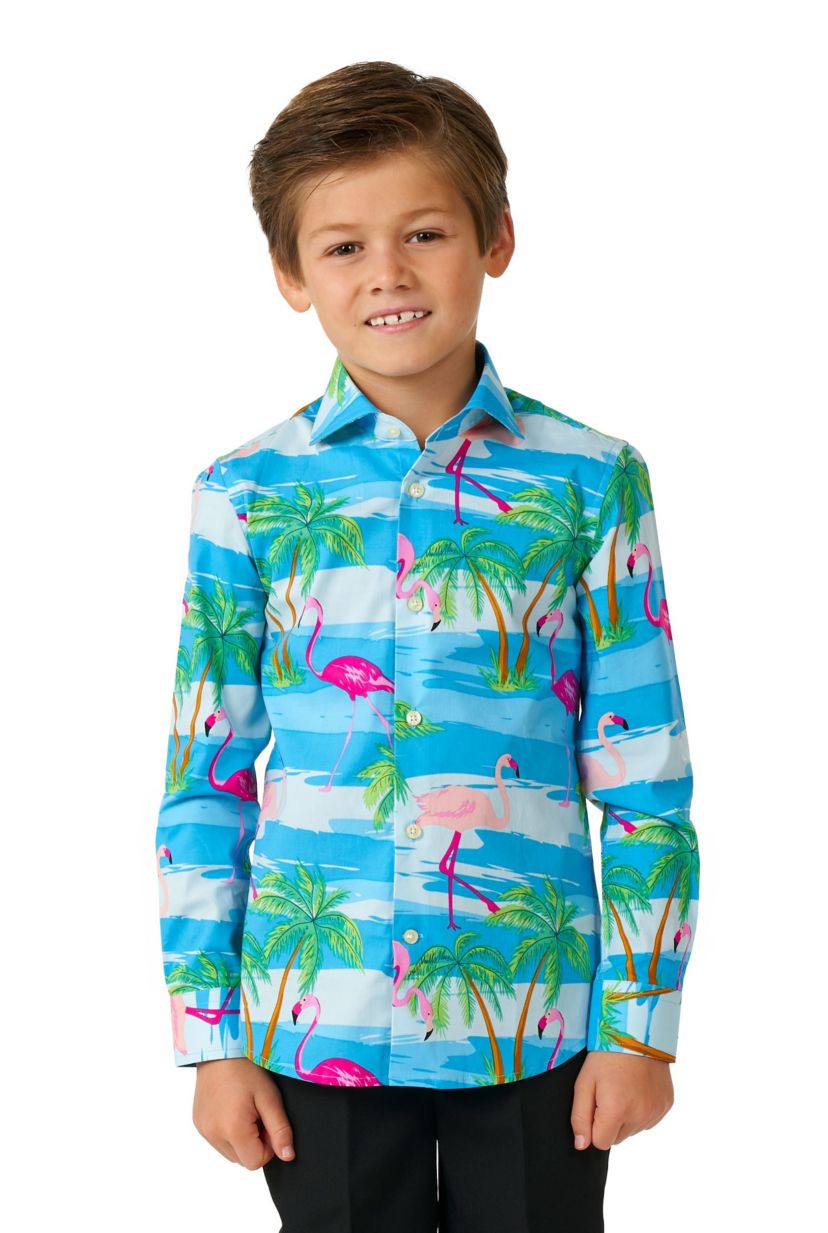 Flaminguy Boys - Long Sleeve Shirt
