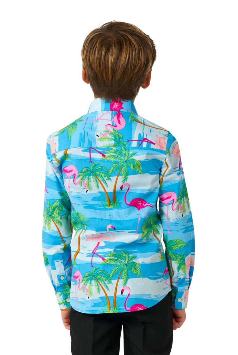 Flaminguy Boys - Long Sleeve Shirt