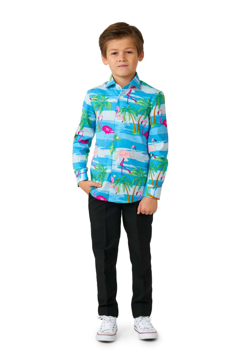 Flaminguy Boys - Long Sleeve Shirt