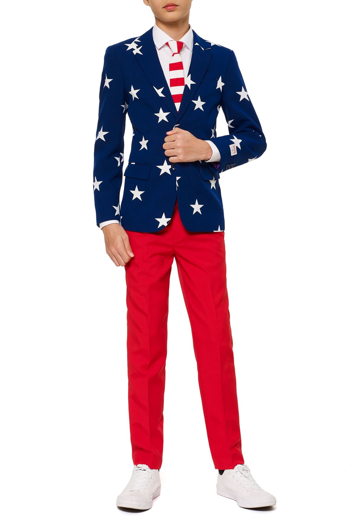Boys 8-20 Stars & Stripes Americana Suit