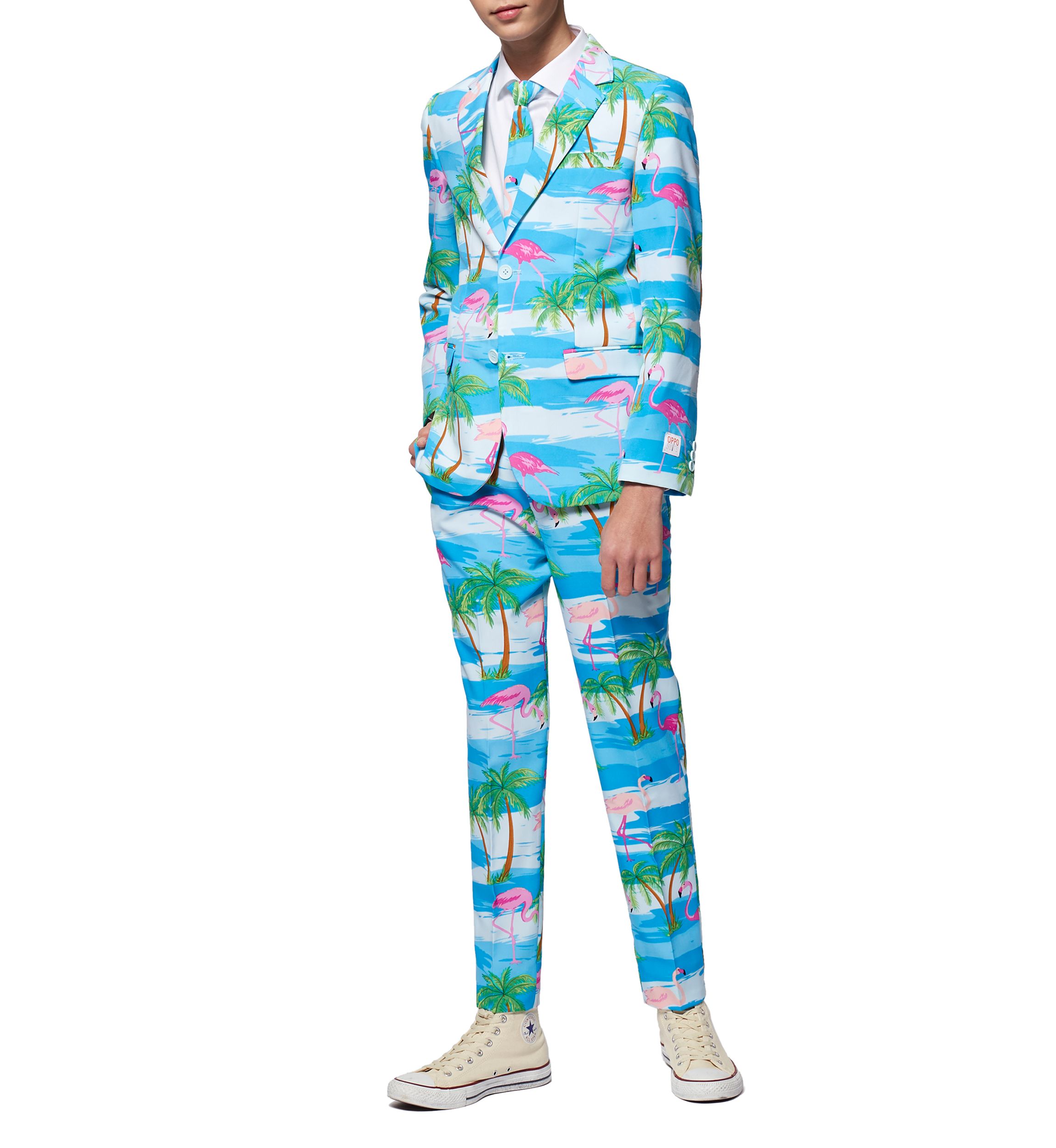 Boys 8-20 Flaminguy Flamingo Suit