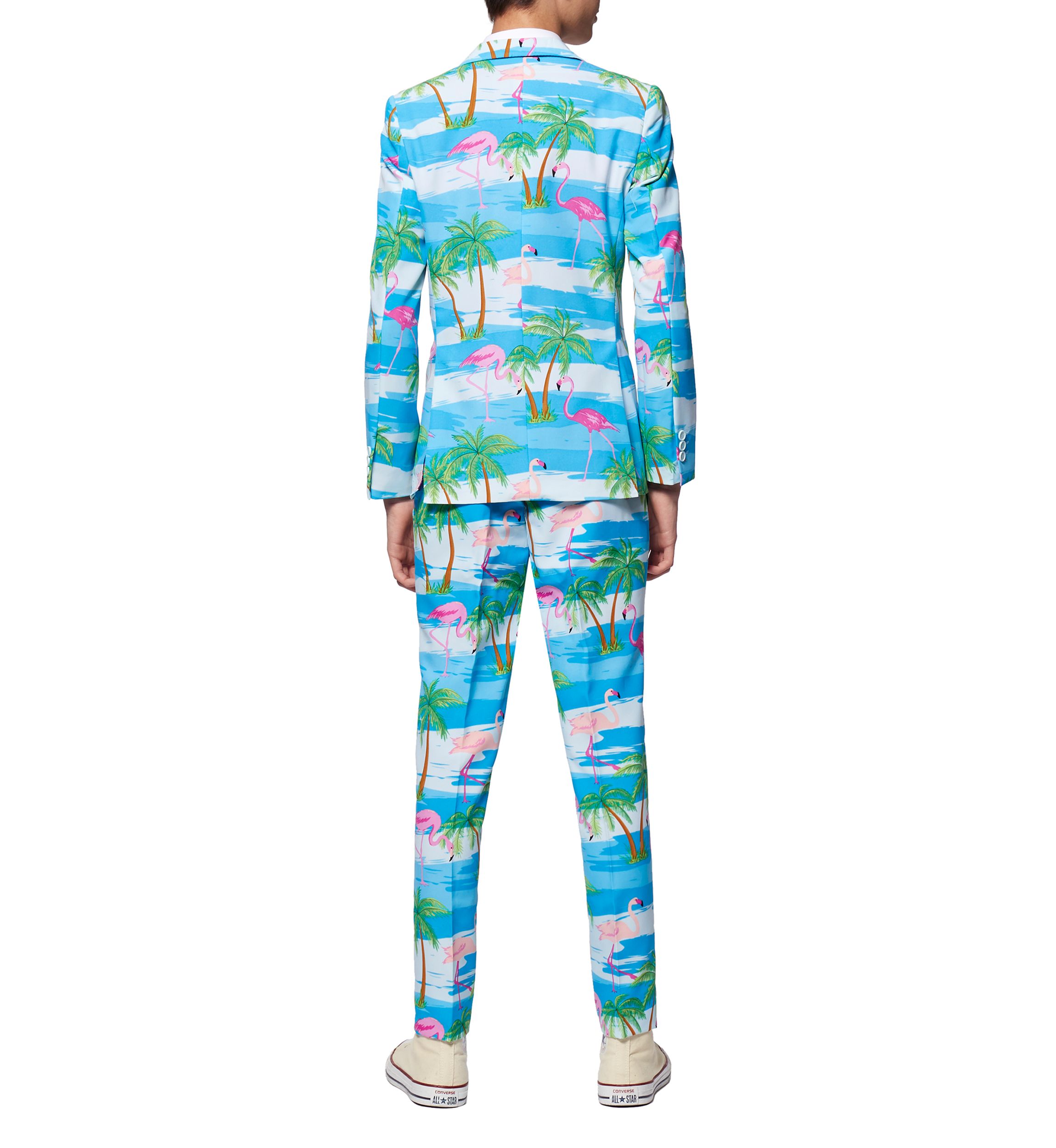 Boys 8-20 Flaminguy Flamingo Suit