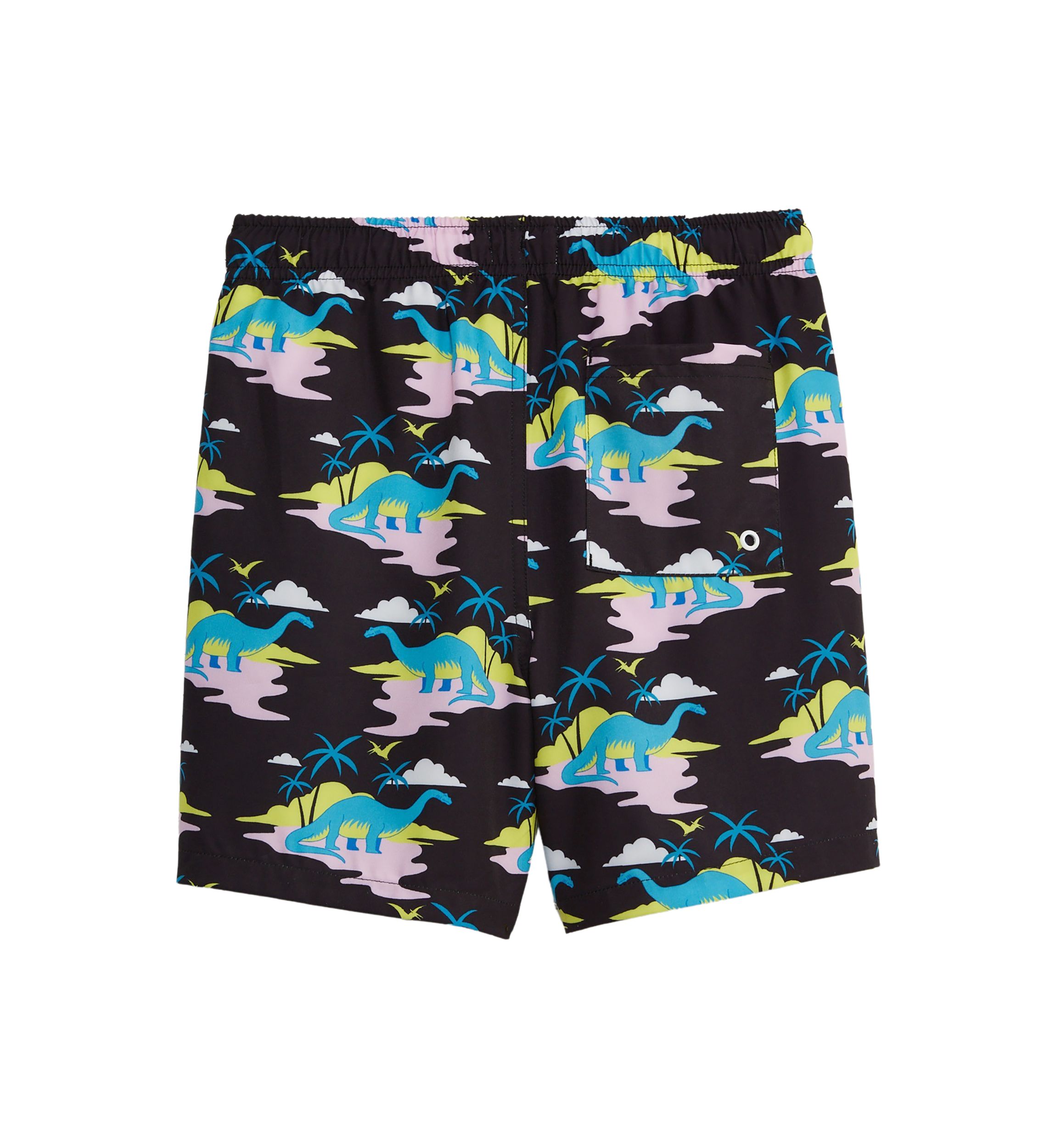 Boys 8-20 Printed Swim Shorts