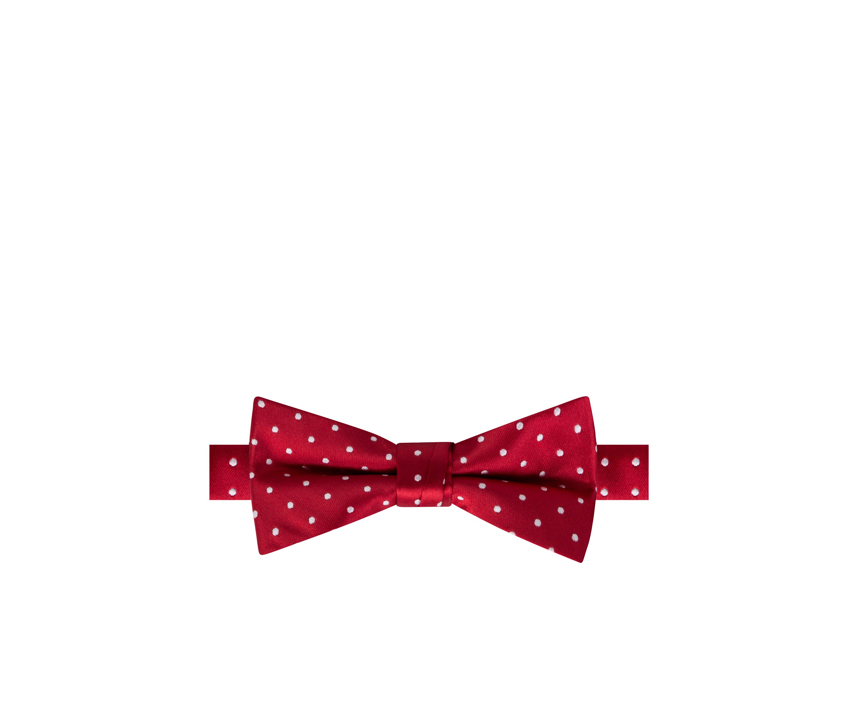 Red Polka Dot Tie