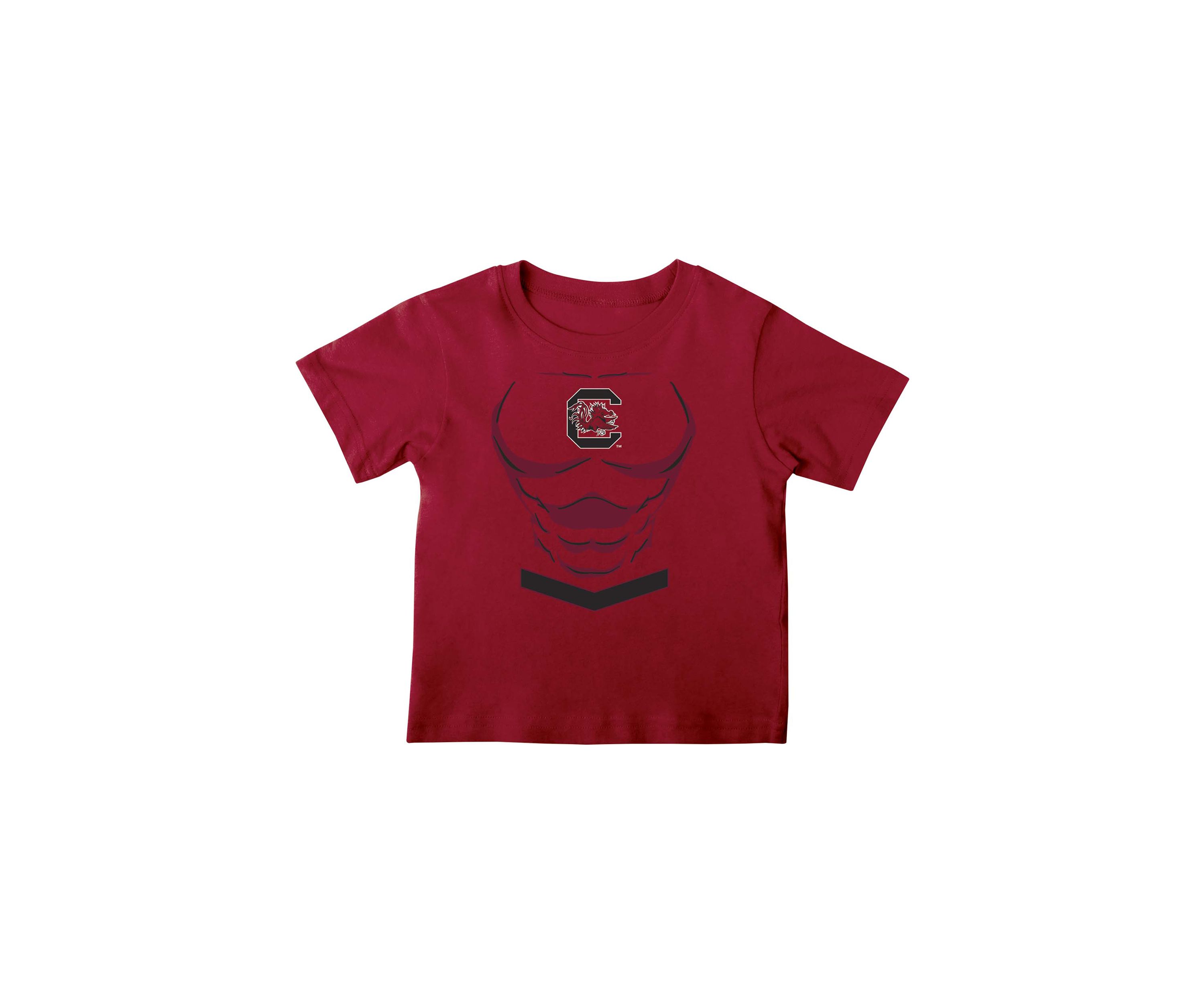 Toddler Boys NCAA South Carolina Gamecocks Graphic T-Shirt - Cardinal