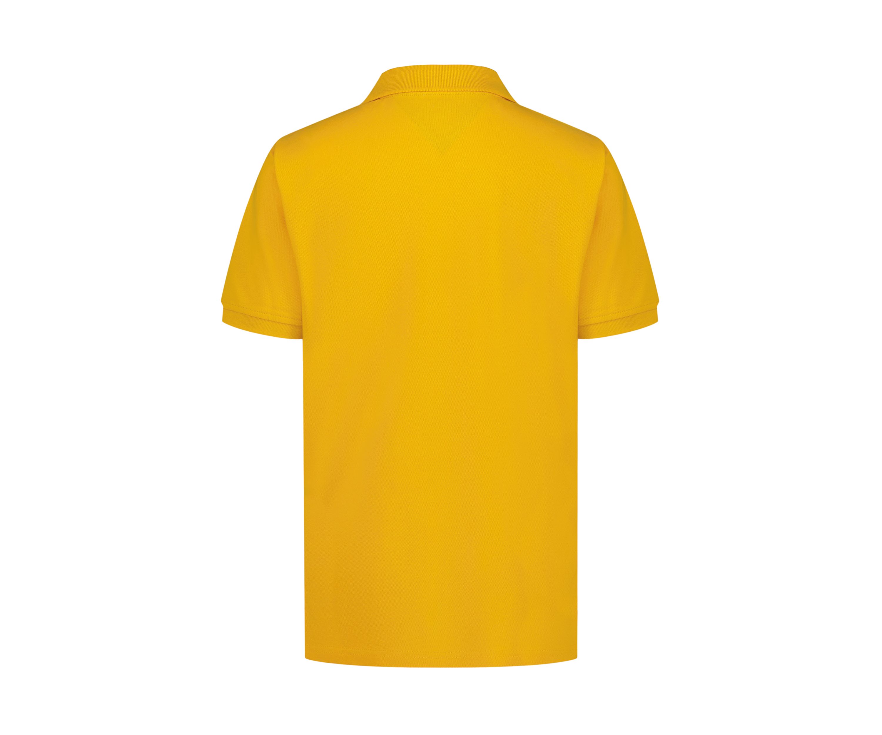 Boys 8-20 Short Sleeve Stretch Ivy Polo Shirt 