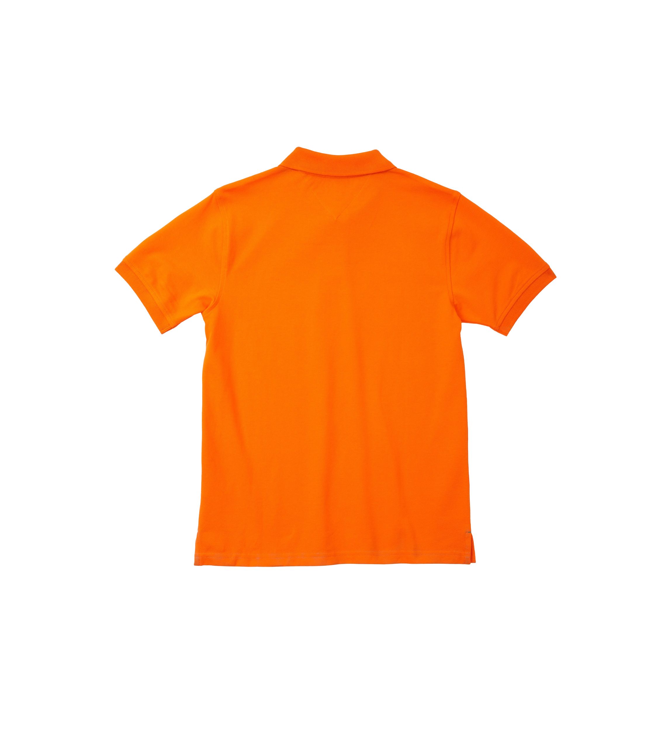Boys 8-20 Ivy Polo Shirt