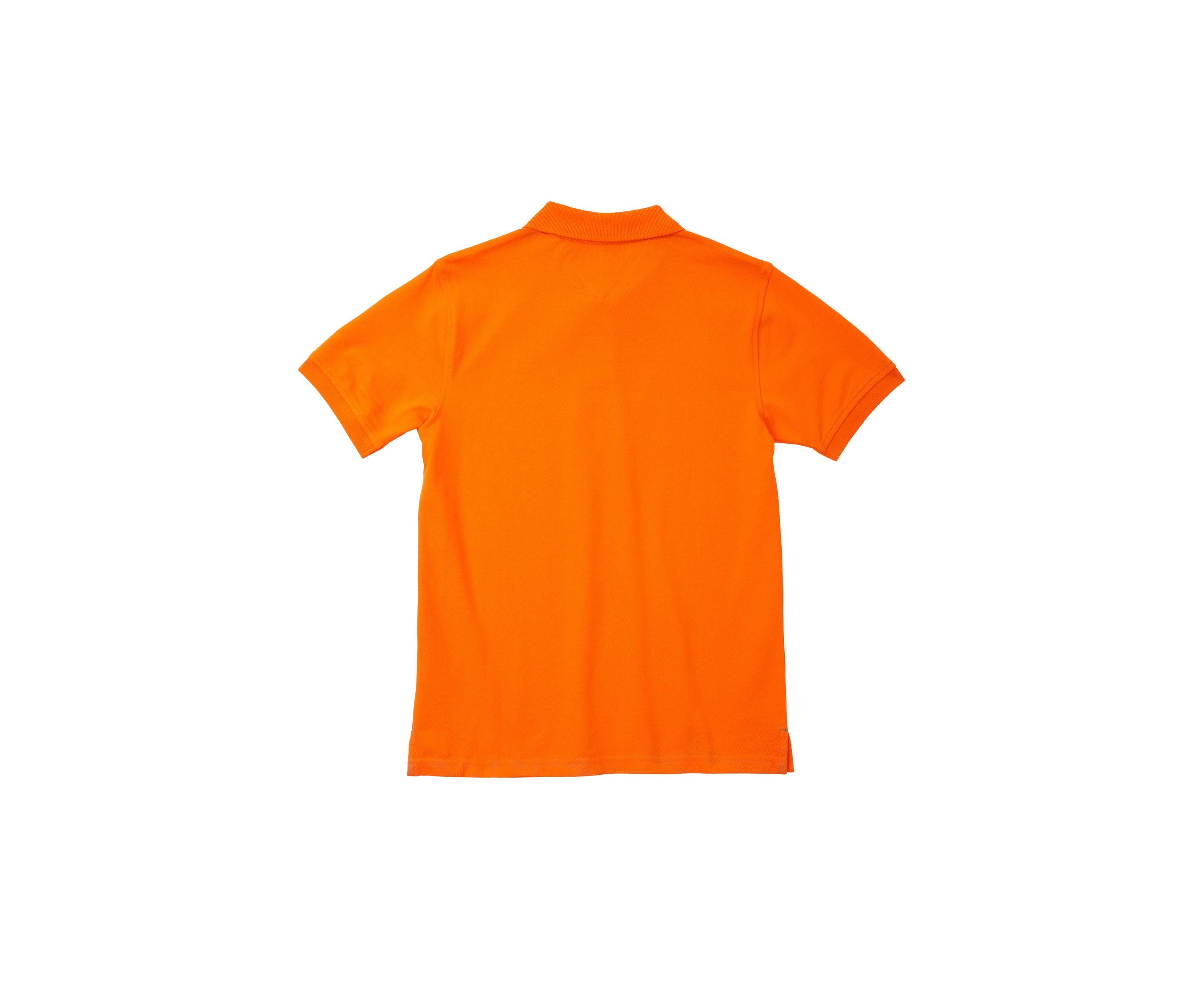 Boys 8-20 Ivy Polo Shirt