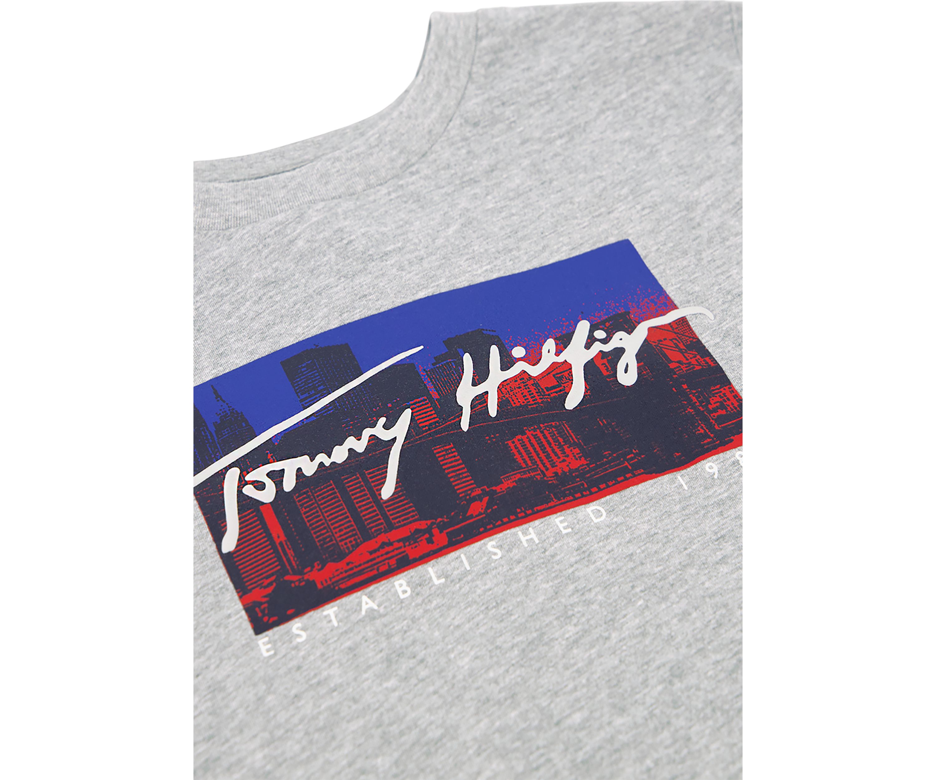 Boys 8-20 Tommy Skyline Short Sleeve Graphic T-Shirt