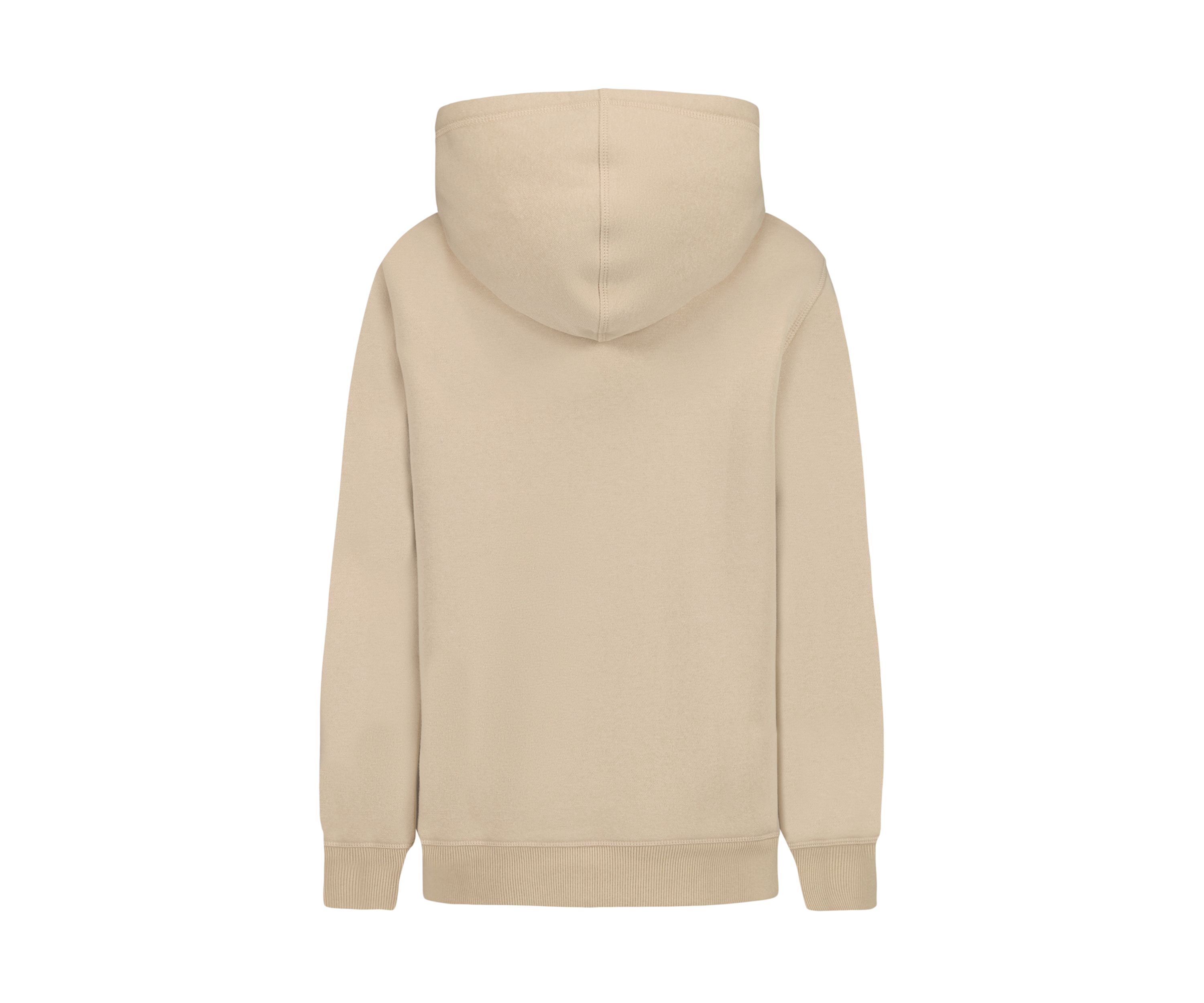   Boys 8-20 Varsity Pullover Hoodie 