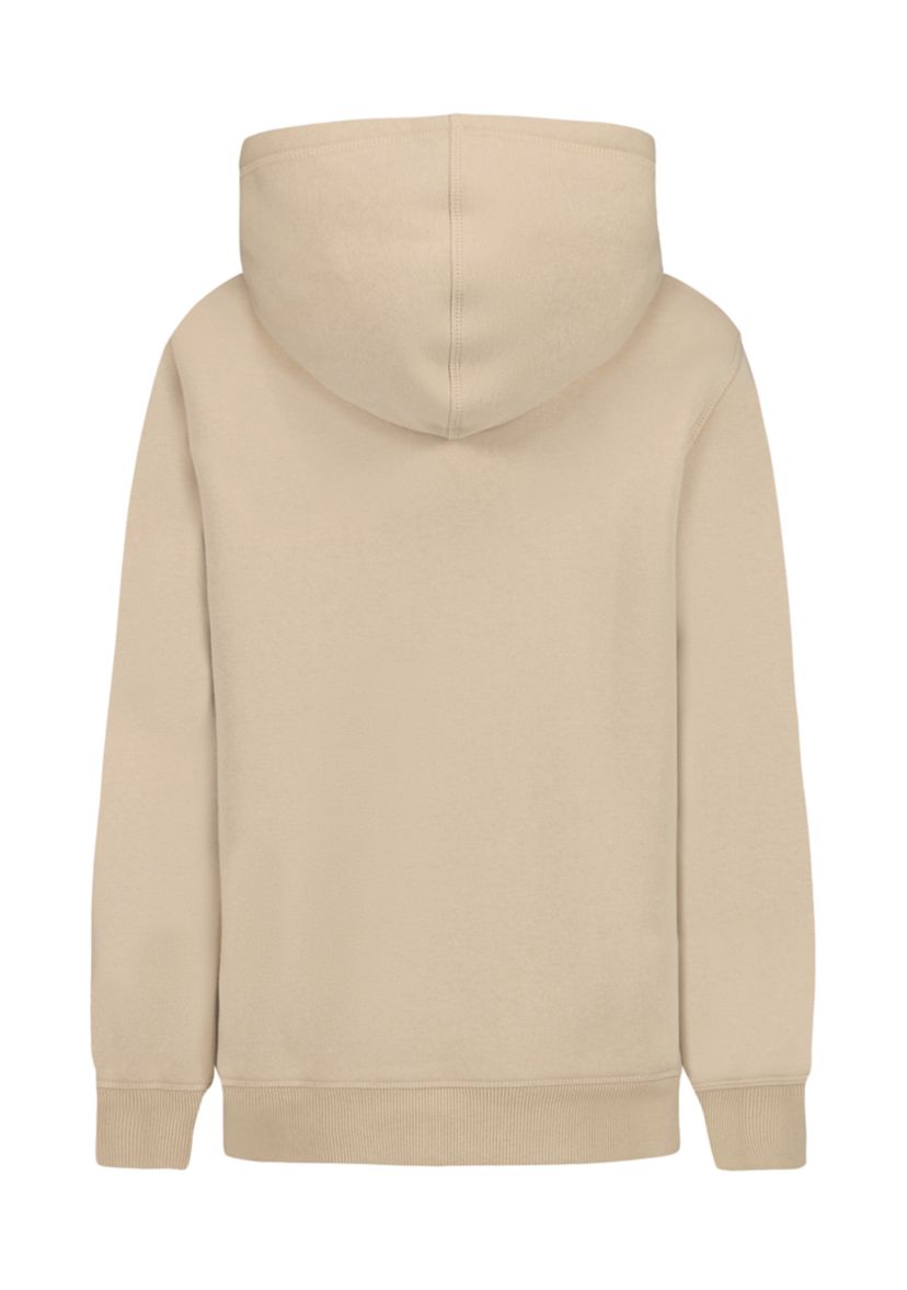   Boys 8-20 Varsity Pullover Hoodie 