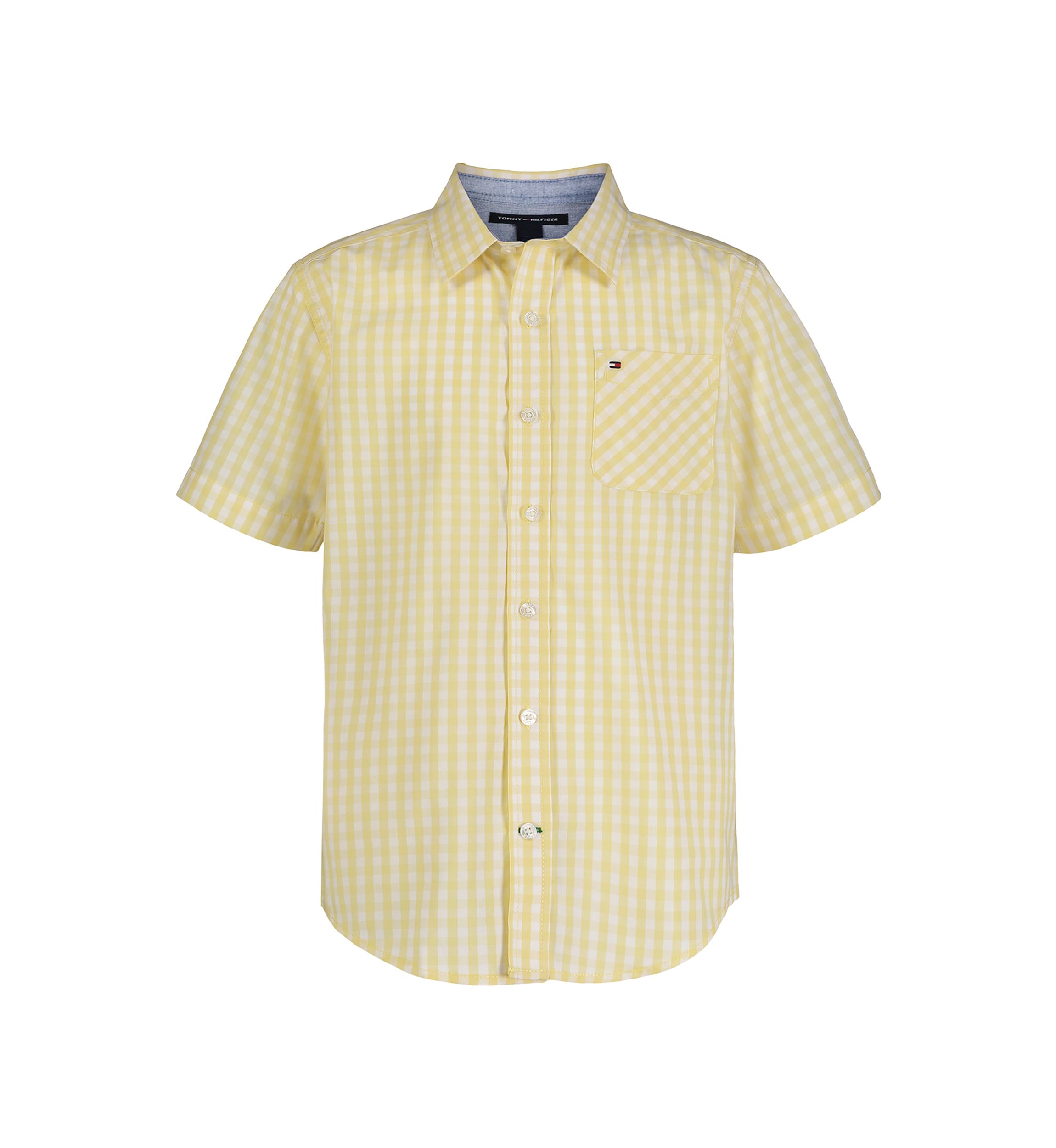 Boys 4-7 Woven Gingham Printed Button Down Shirt